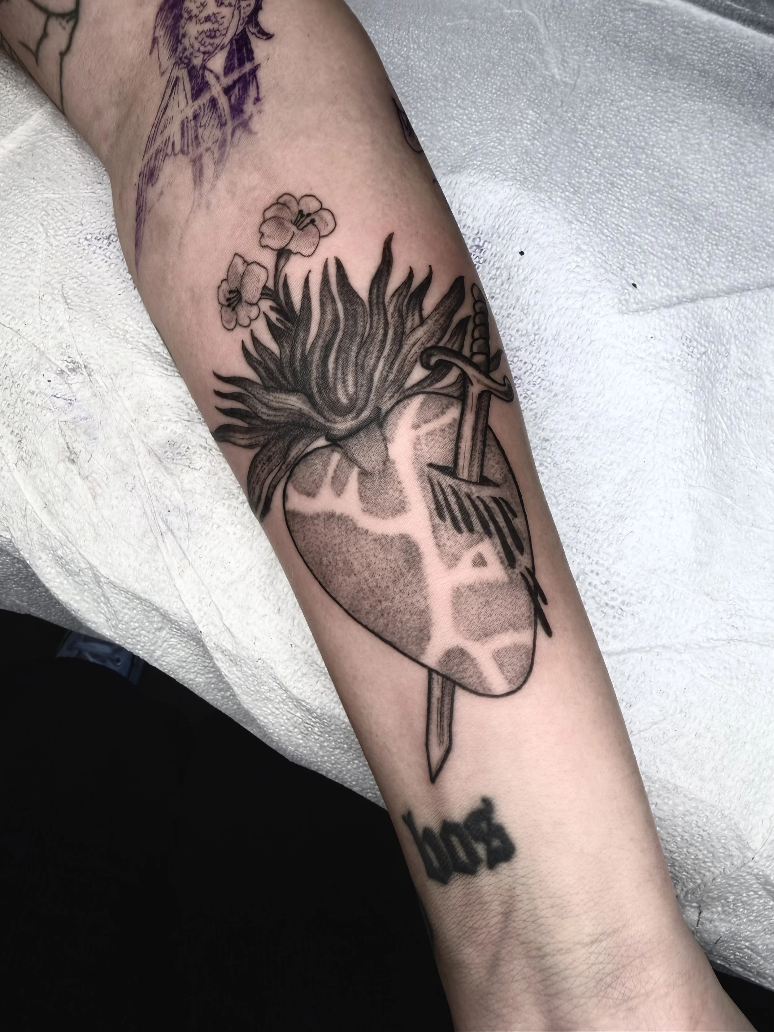 IMG_0145.jpeg