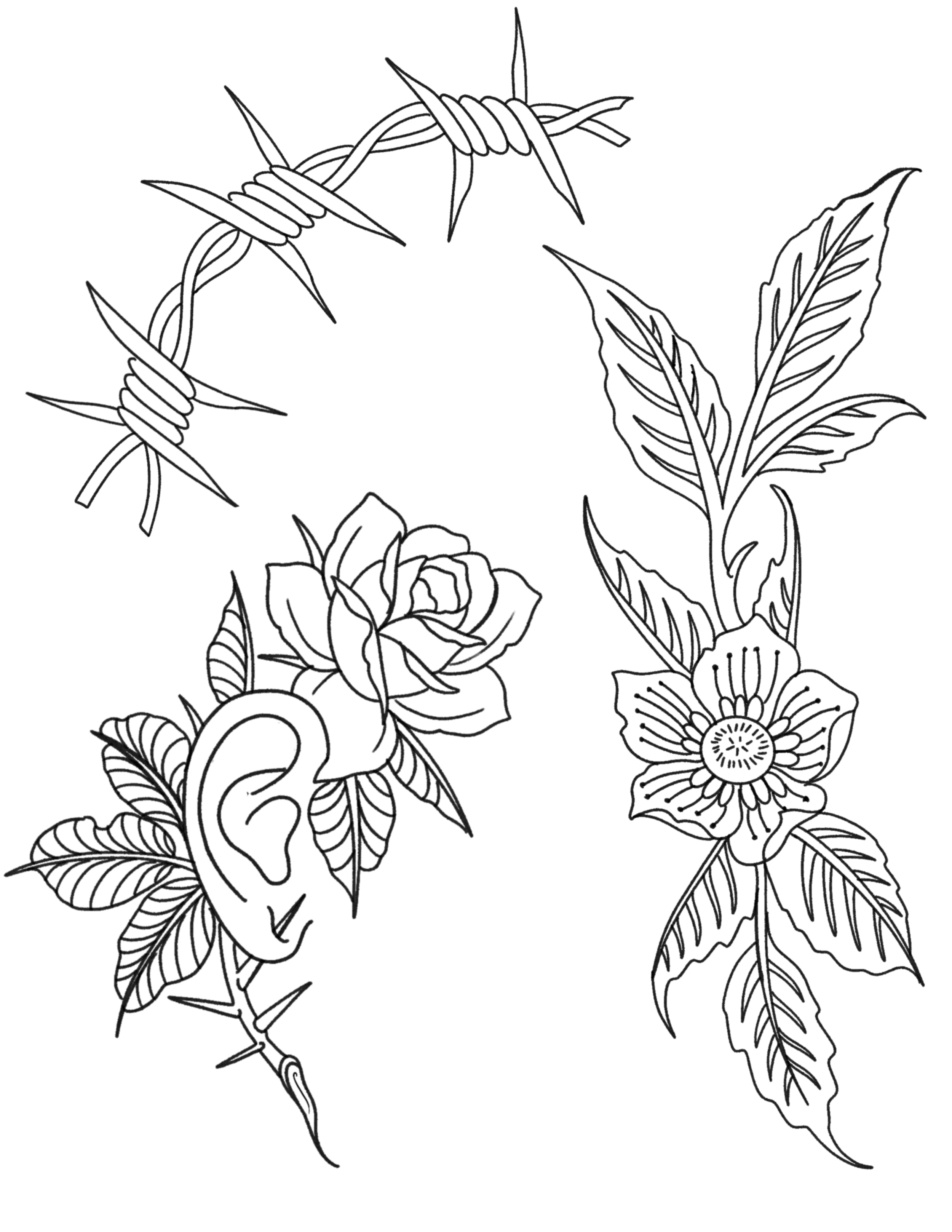 IMG_3739.png