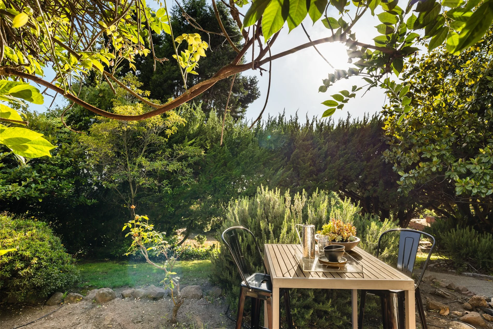 A backyard garden with a wooden table set with plates, bowls, a pitcher, and a floral centerpiece, surrounded by black metal chairs, lush green trees, bushes, and plants under a bright sunlight.