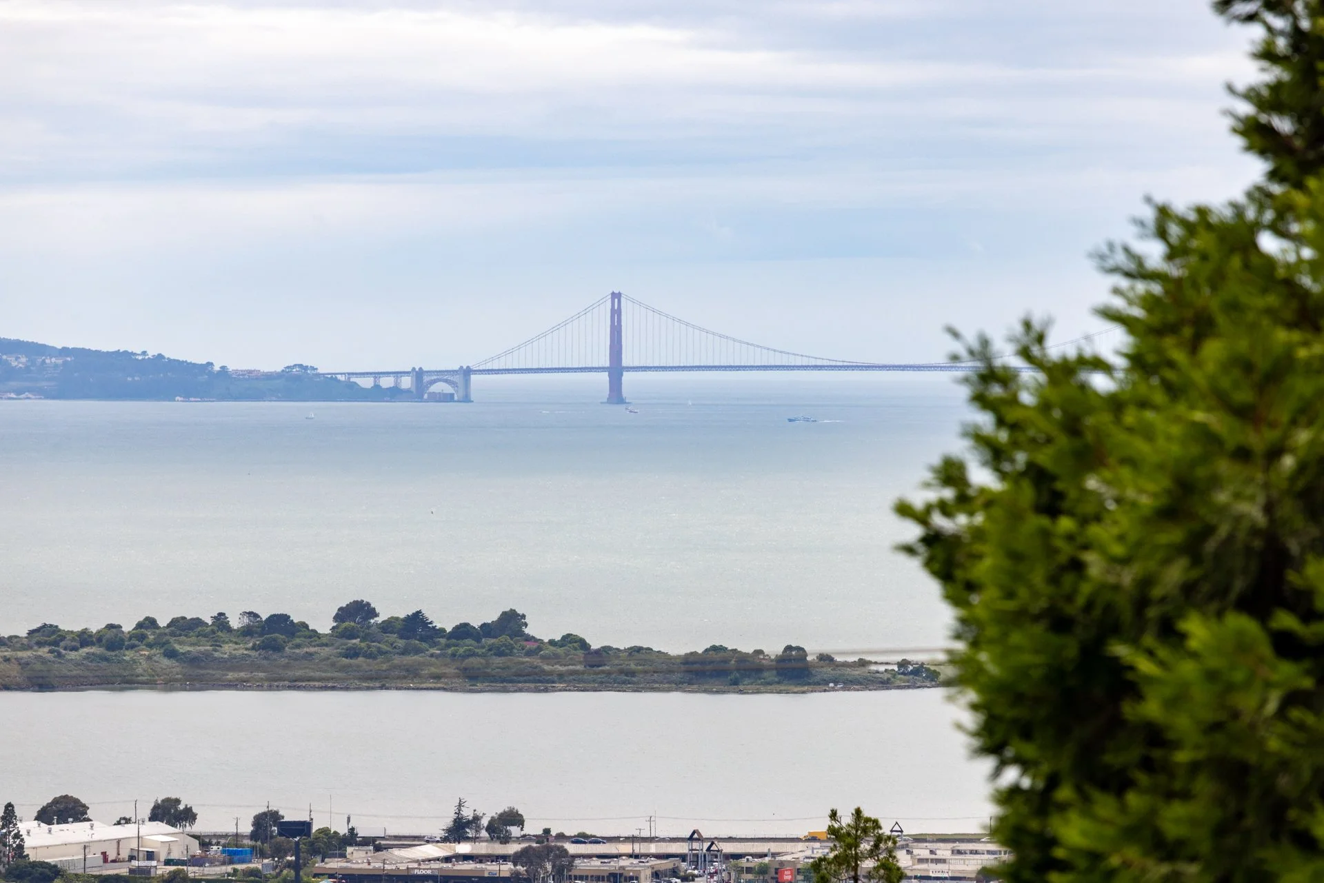 View of the Golden Gate Bridge in San Francisco, seen through trees with water and a cloudy sky in the background.