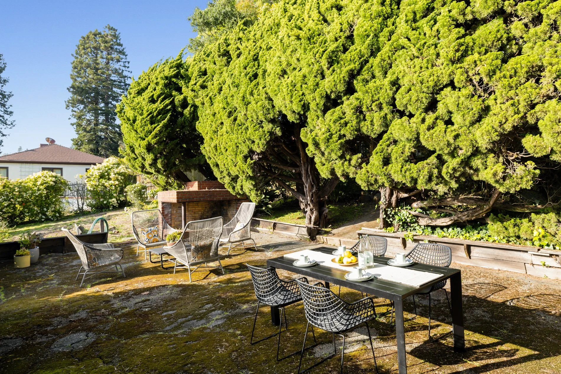 An outdoor patio with a black dining table set for a meal, surrounded by black wire chairs, under large green trees with a house and a tall pine tree in the background.