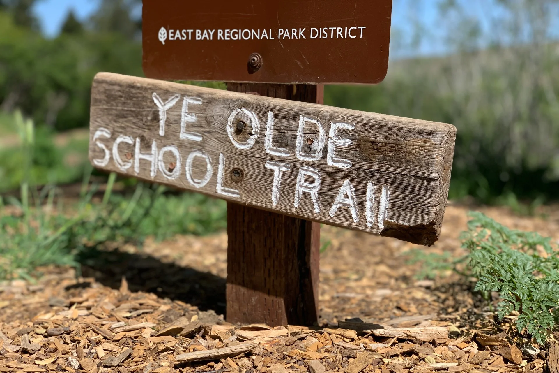 A wooden sign with white painted letters reading "YELLOE SCHOOL TRAIL" is attached to a wooden post in a natural outdoor setting, with a background of blurred greenery and a dirt trail covered with wood chips.