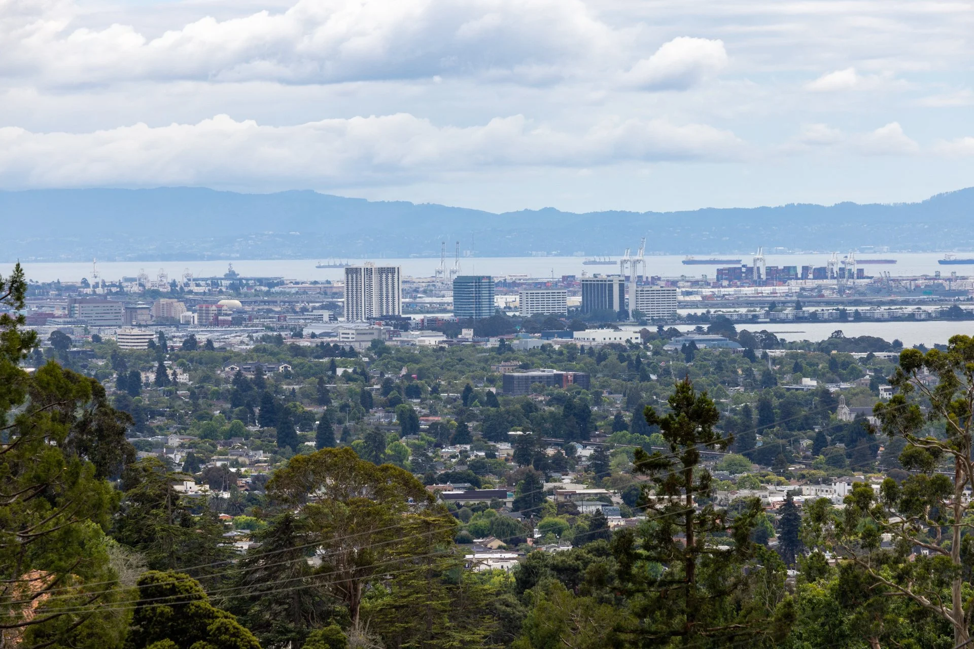Cityscape of a harbor with high-rise buildings, cargo ships, and industrial cranes seen from a mountainous area with trees in the foreground.