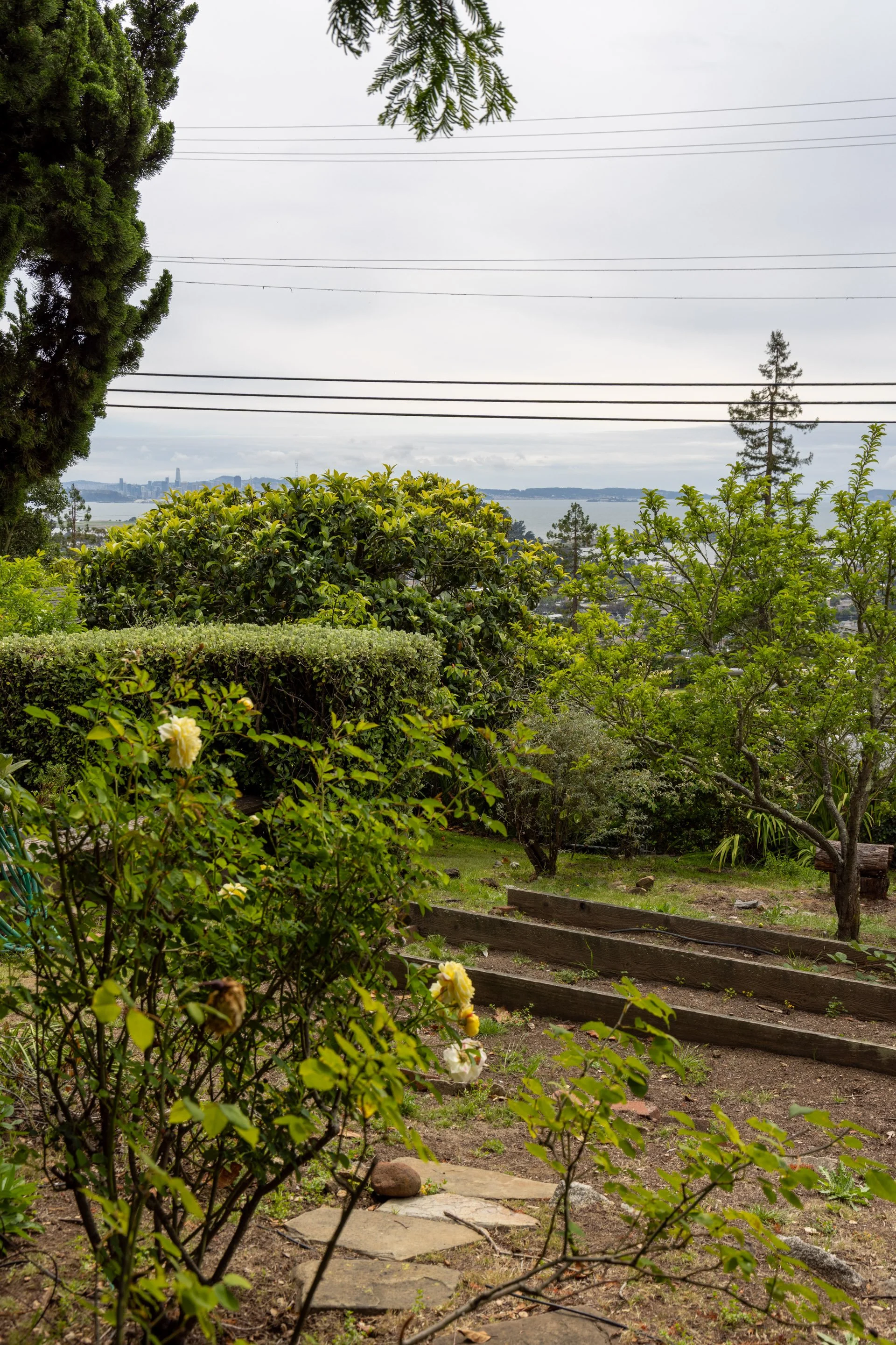 A garden scene with green bushes, trees, stone pathway, and a view of water and city skyline in the distance under an overcast sky.