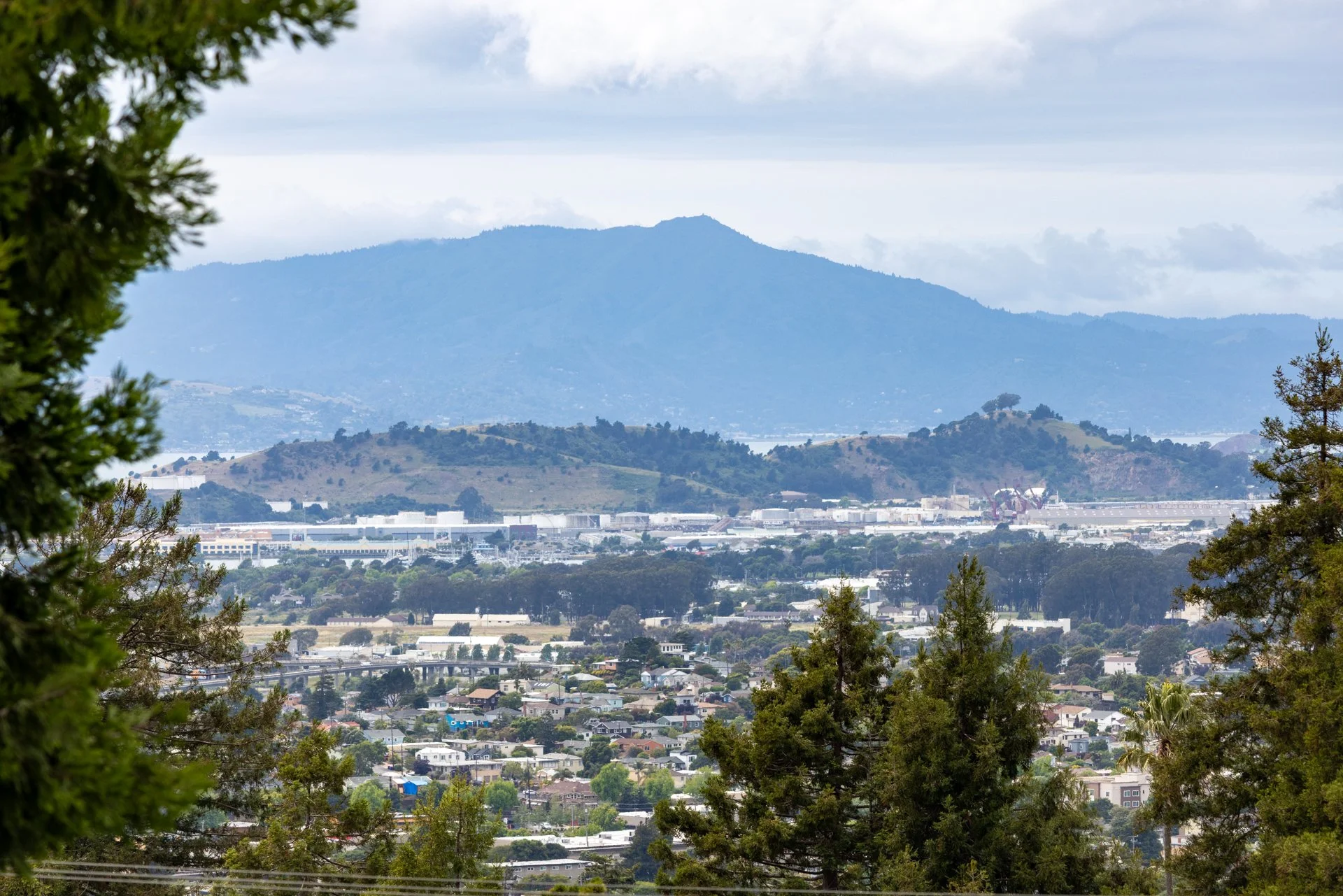 View of a cityscape with a mountain range in the background, partly obscured by trees in the foreground.
