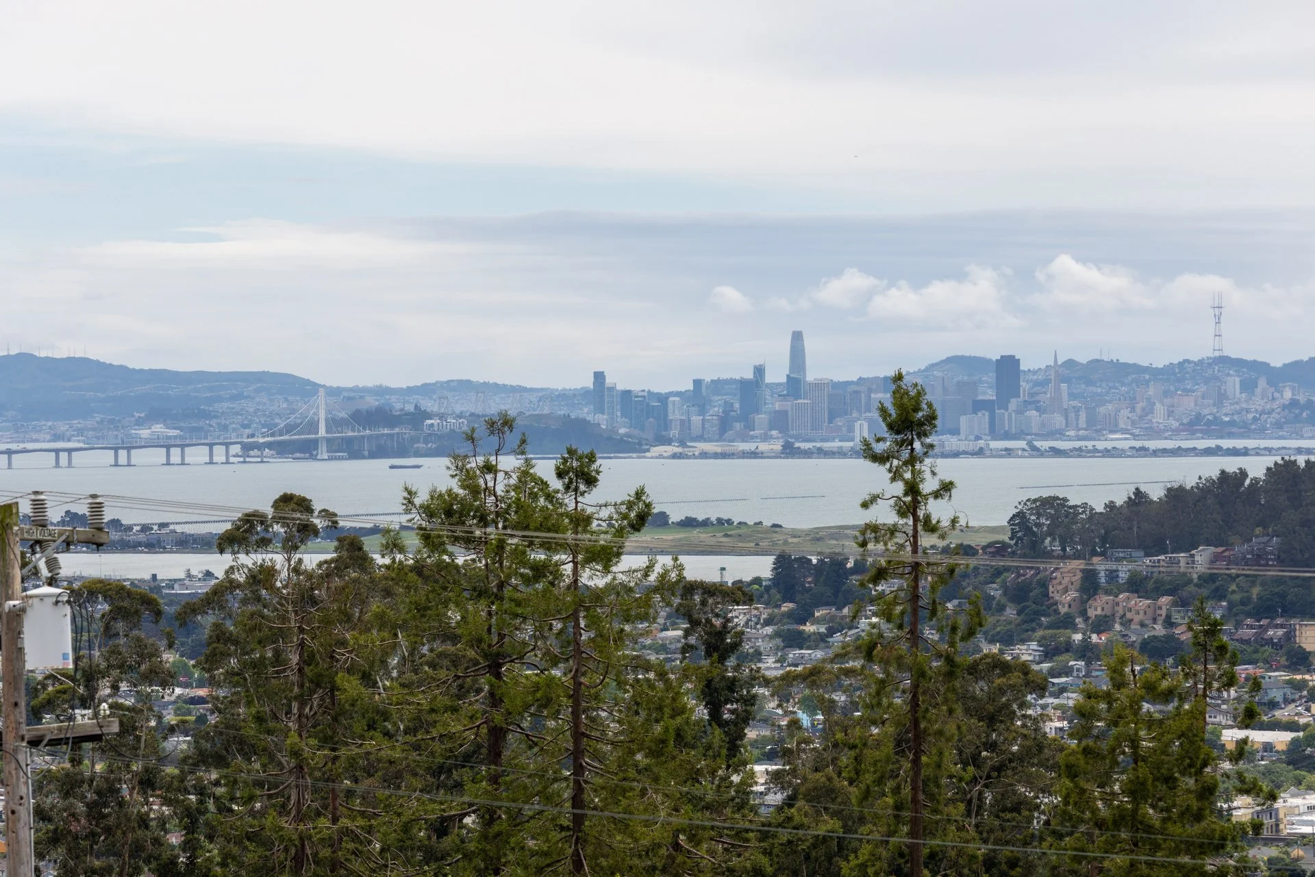 City skyline with high-rise buildings, bridge, water, and hills in the background, viewed from a distance with trees in the foreground.