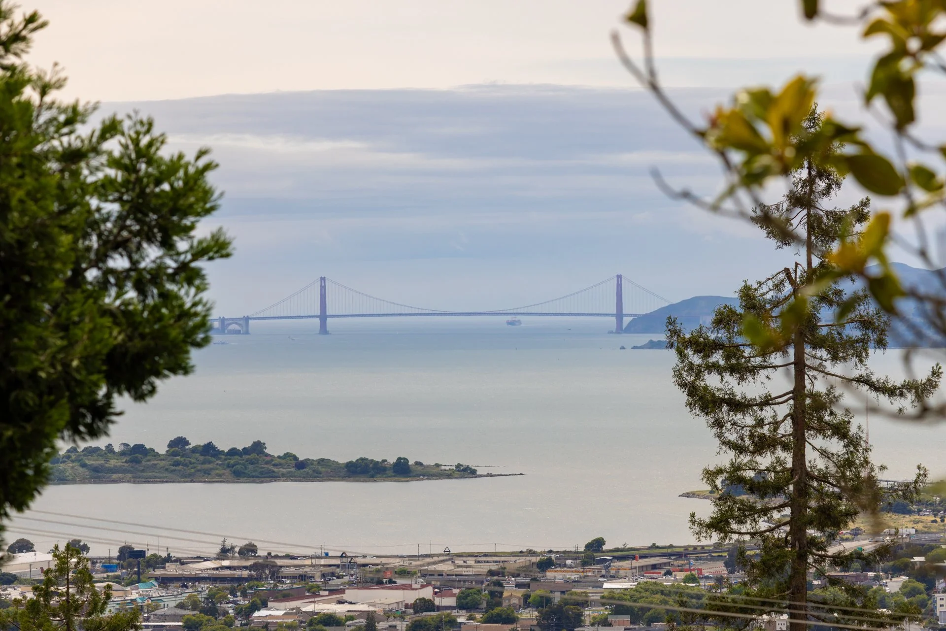 View of the Golden Gate Bridge across the water, framed by trees and city buildings in the foreground, with hills in the background.