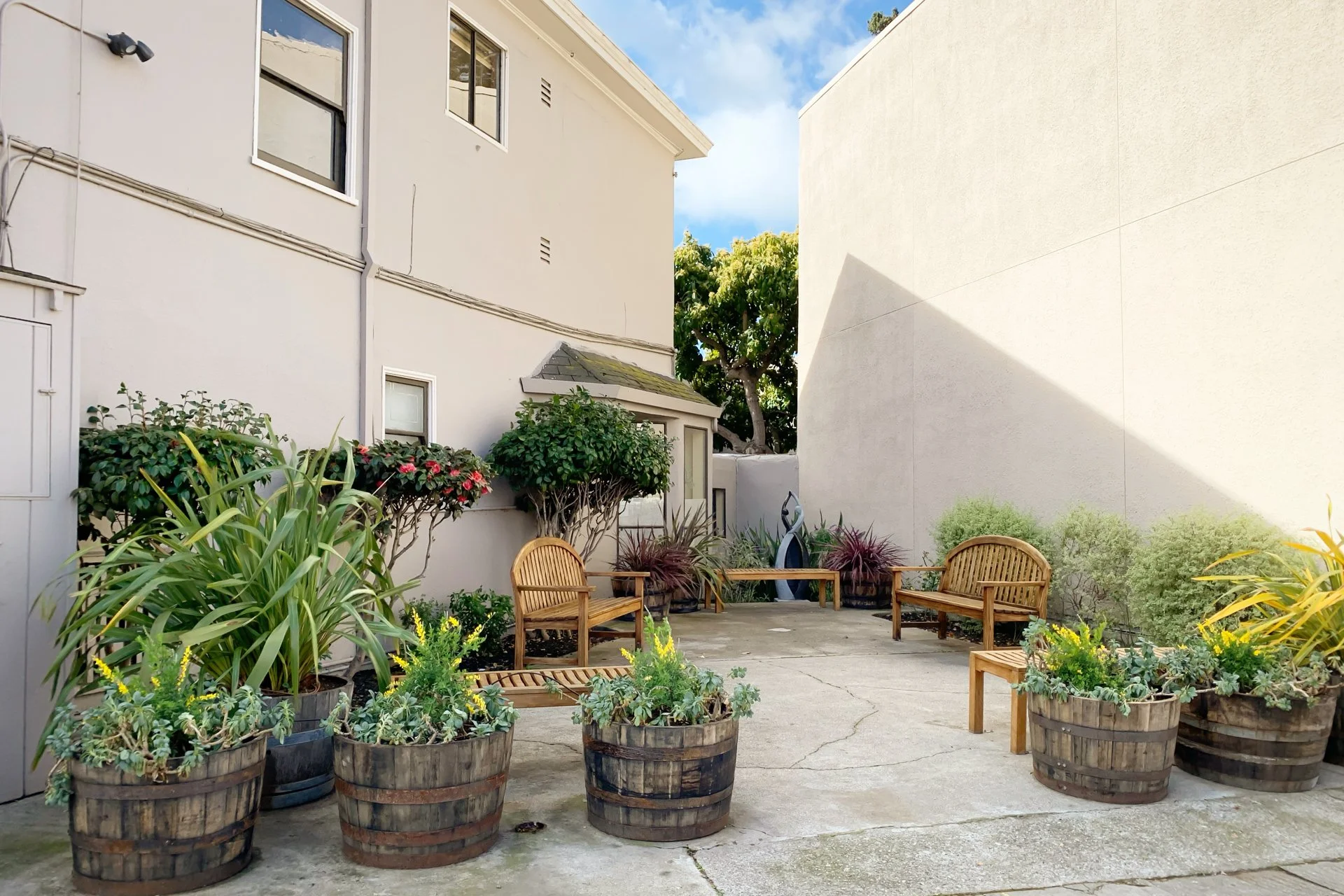 An outdoor patio with multiple potted plants, wooden benches, and chairs arranged along a concrete floor, with a white building and a tall wall in the background