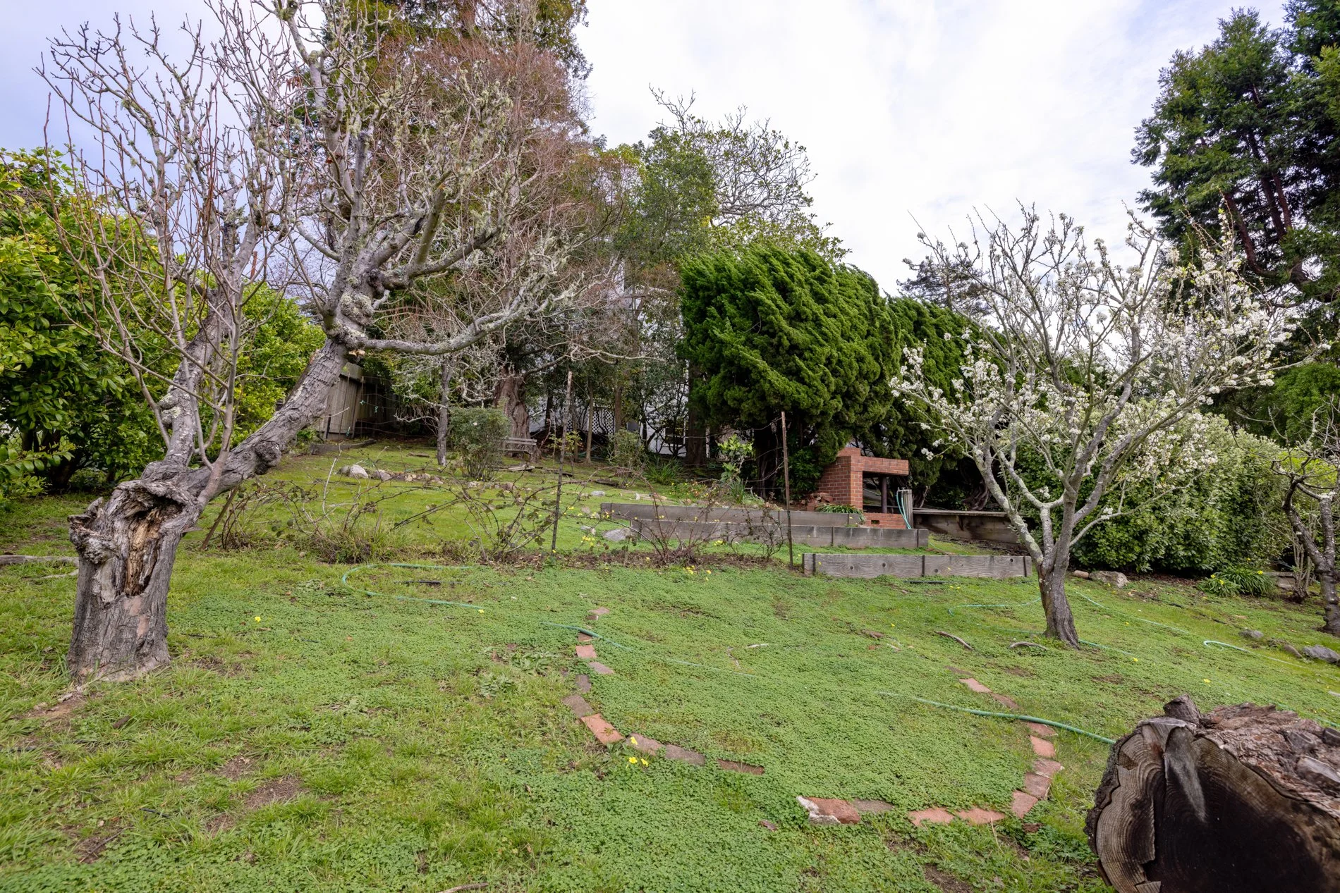 A backyard garden with green grass, several trees with emerging or no leaves, and a small brick structure with stairs leading up to it.