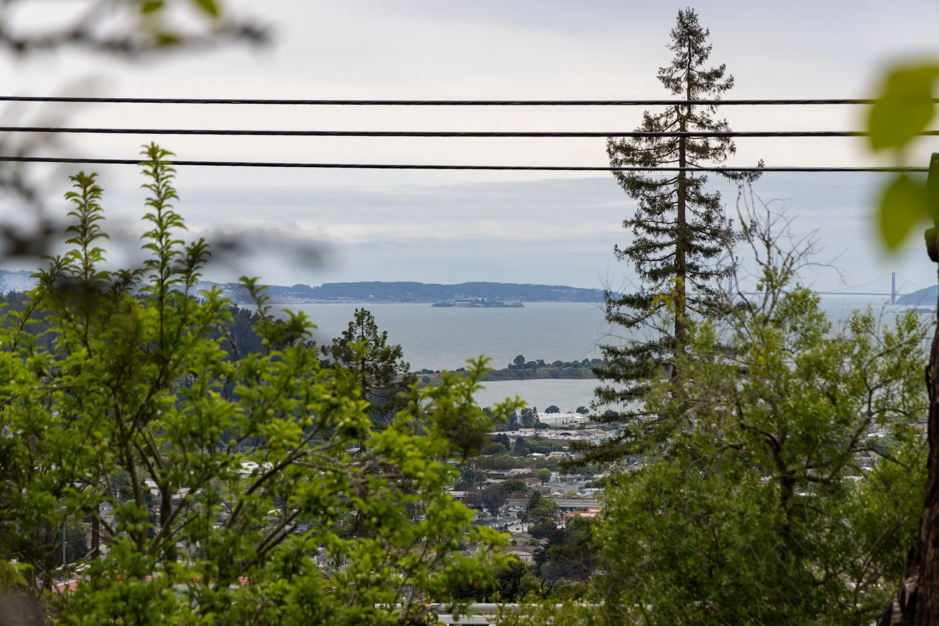 Overcast view of a bay with distant hills, framed by trees and green foliage in the foreground, with power lines crossing the scene and a bridge faintly visible in the distance.