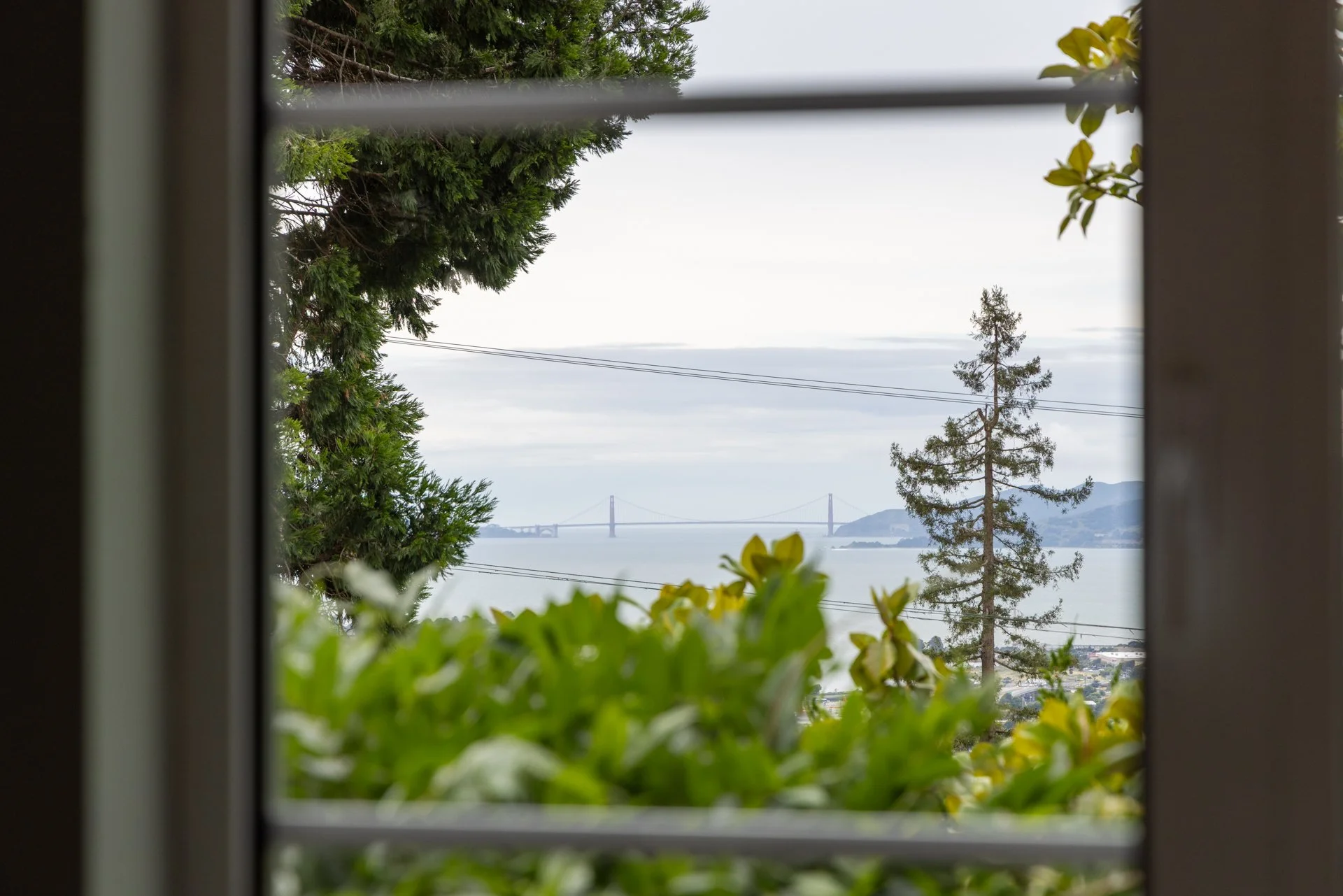 View through a window with greenery in the foreground, including shrubs and trees, and a distant view of the bay with a bridge in the background.