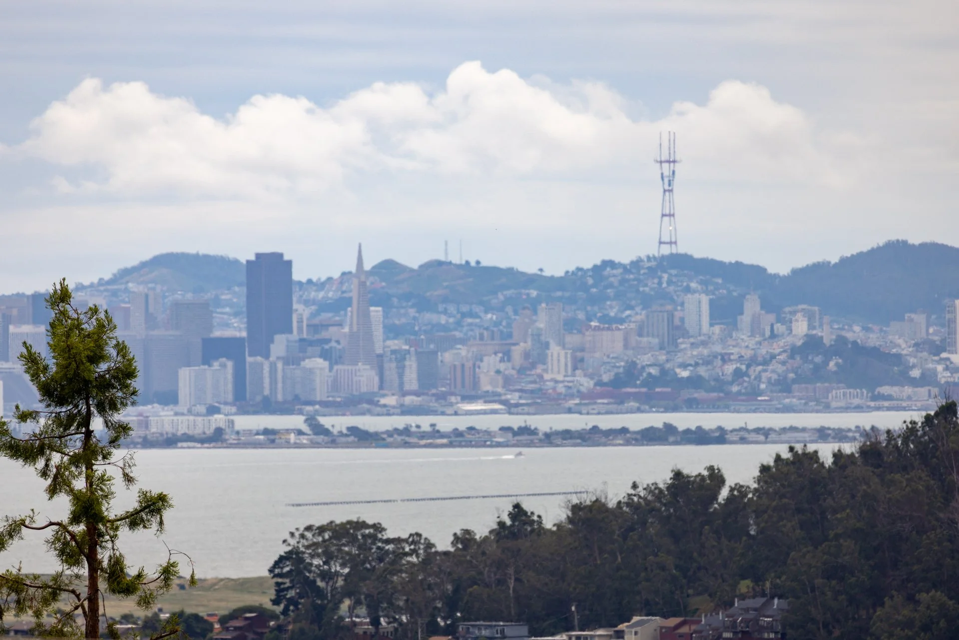 City skyline with high-rise buildings and hills in the background, a body of water in the foreground, and trees in the foreground.