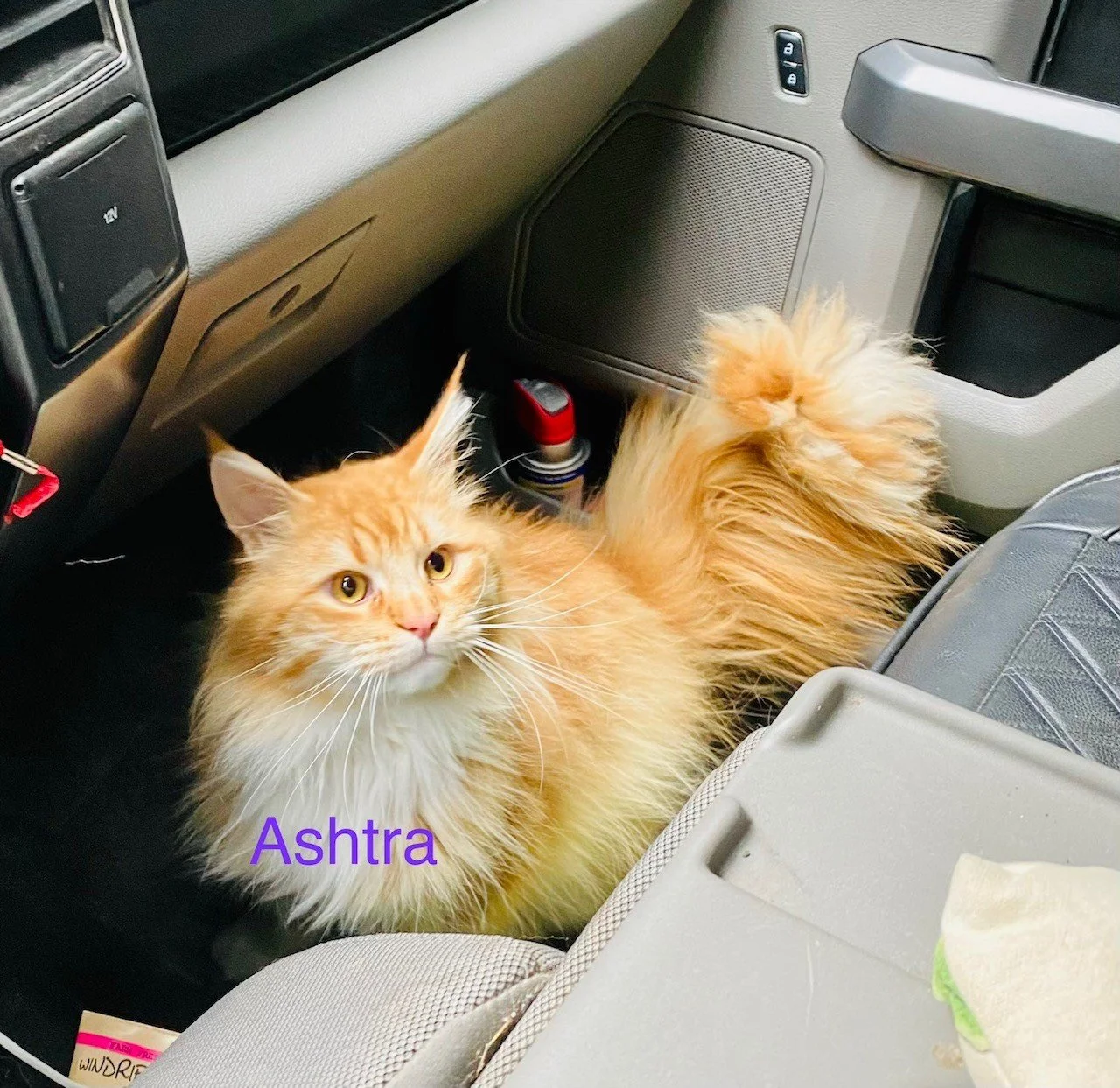 Ashtra _ Mother 