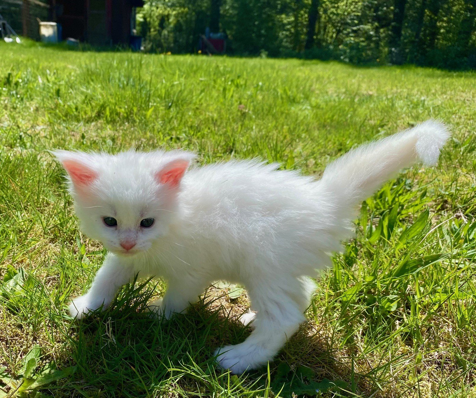 Rose at 3 weeks old