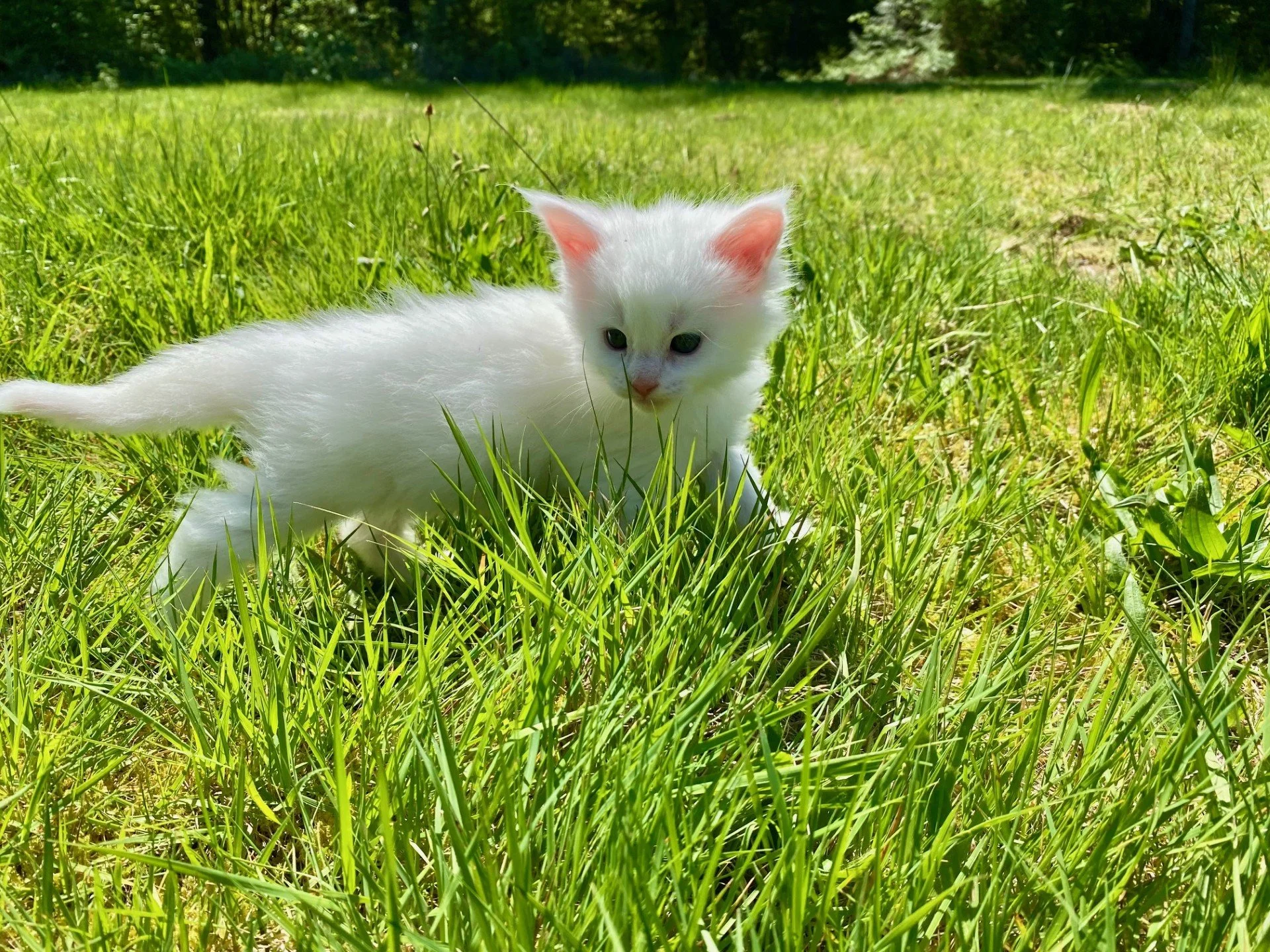 Ash at 3 weeks old