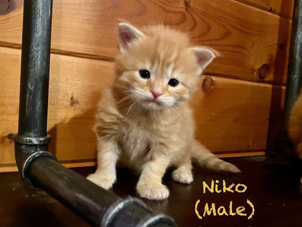 at 3 weeks old 