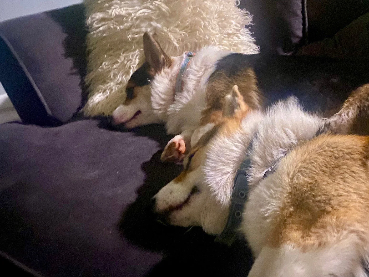 Play Time = Nap Time 
