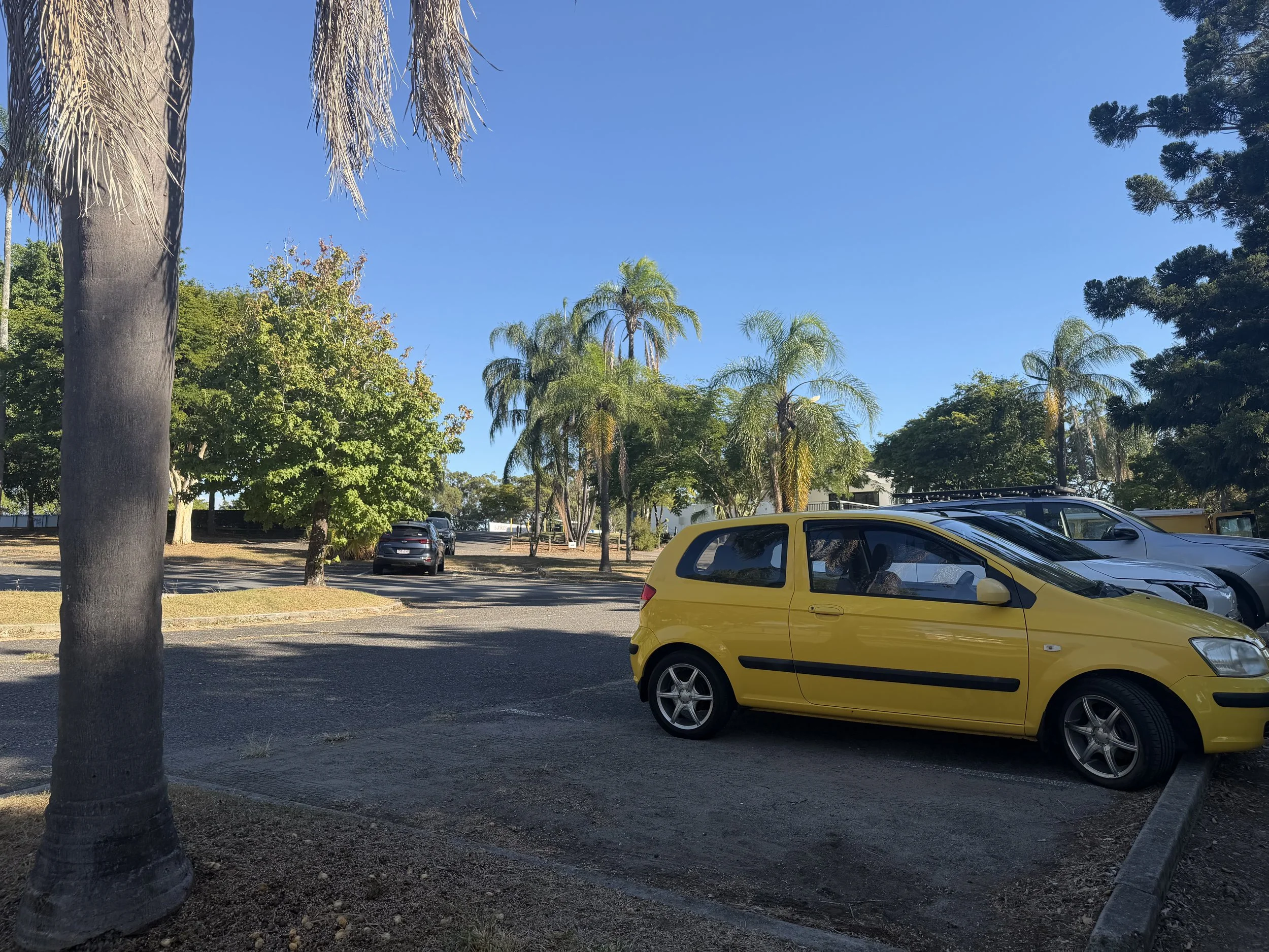 IMG_0546.jpeg