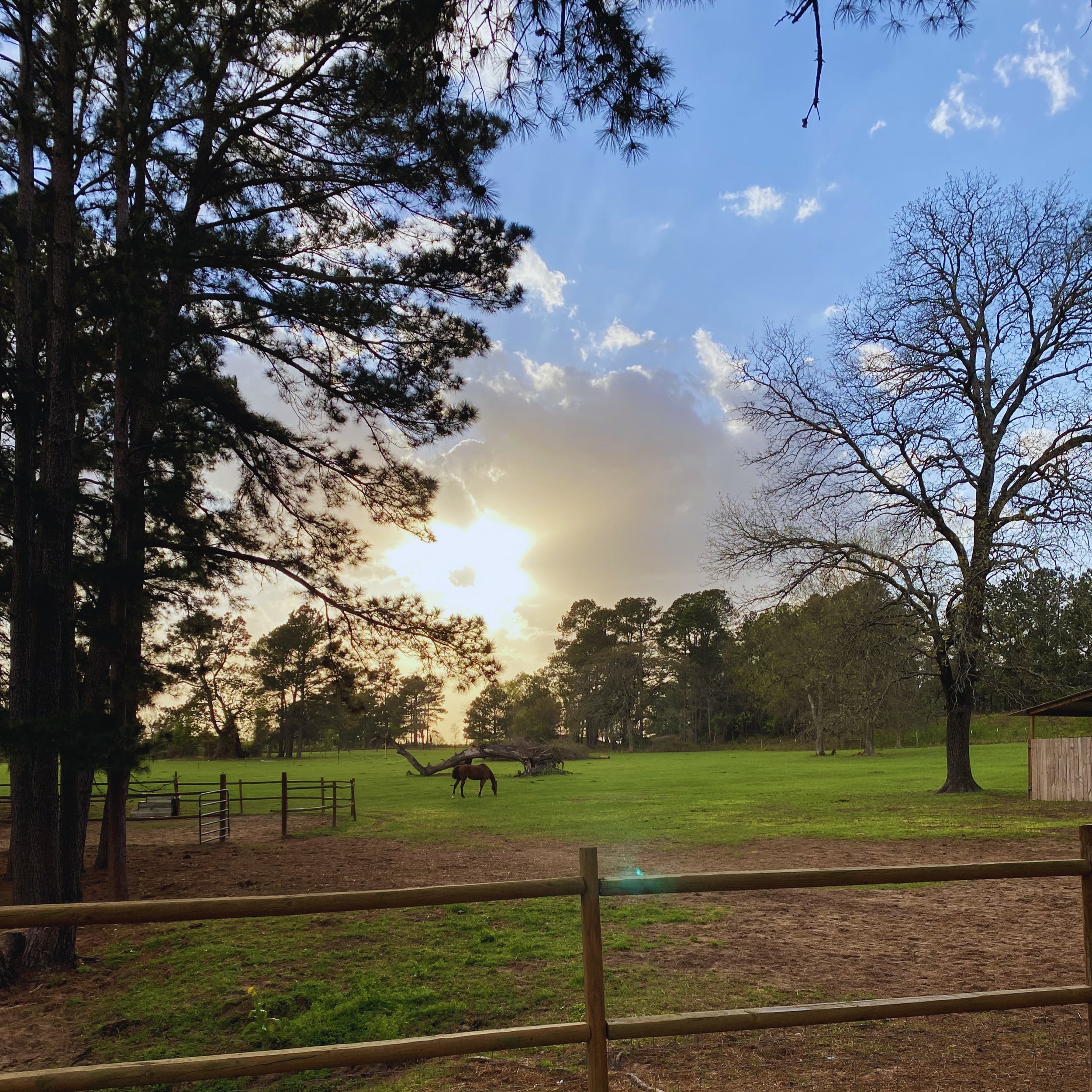 A scenic view of a farm with green grass, trees, and a horse grazing, under a partly cloudy sky with sunlight shining through.