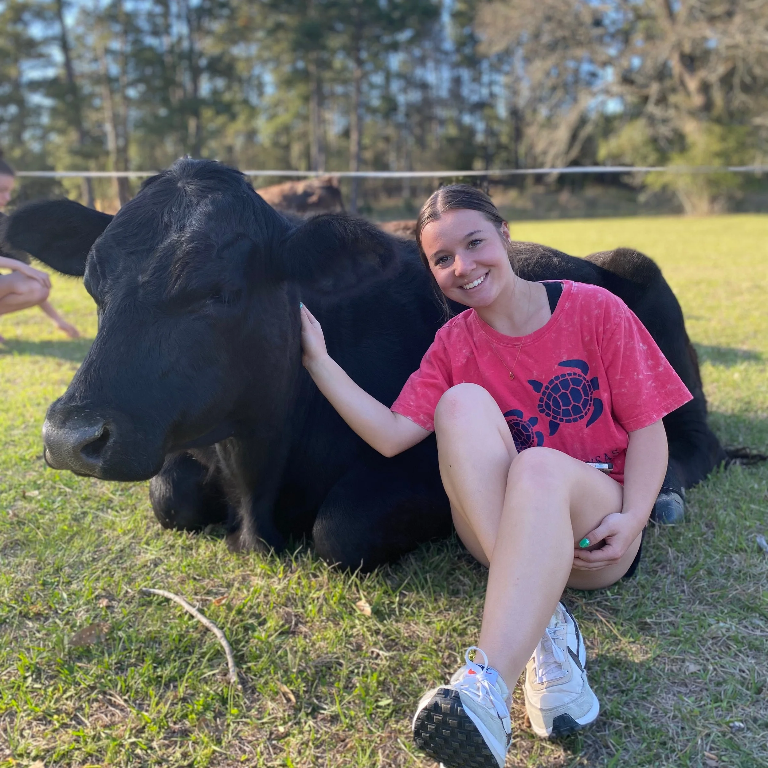 A young girl kneeling on grass, smiling, and petting a black calf in a field with trees in the background.