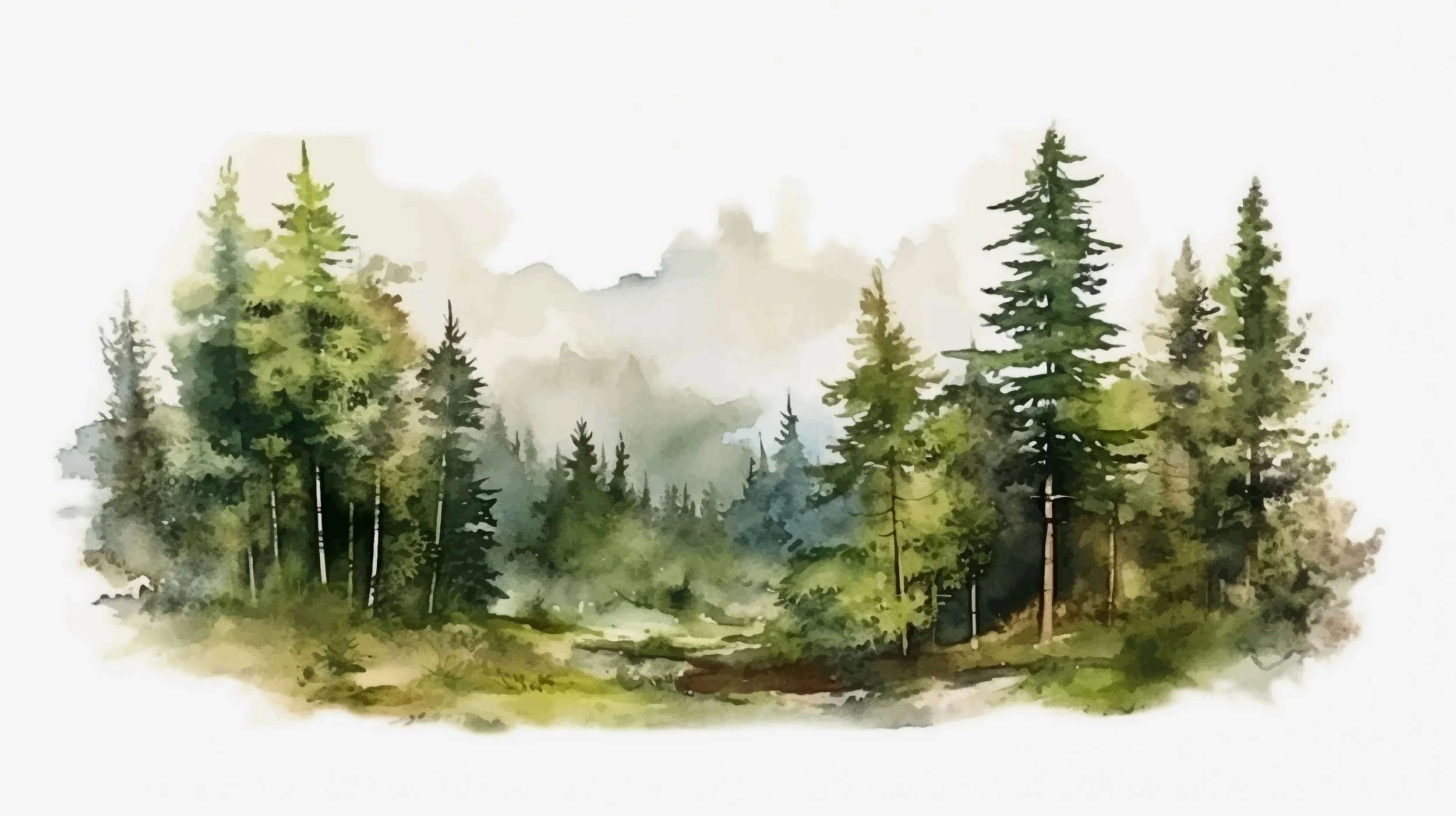 A watercolor painting of a lush green forest with tall pine trees and a misty background.