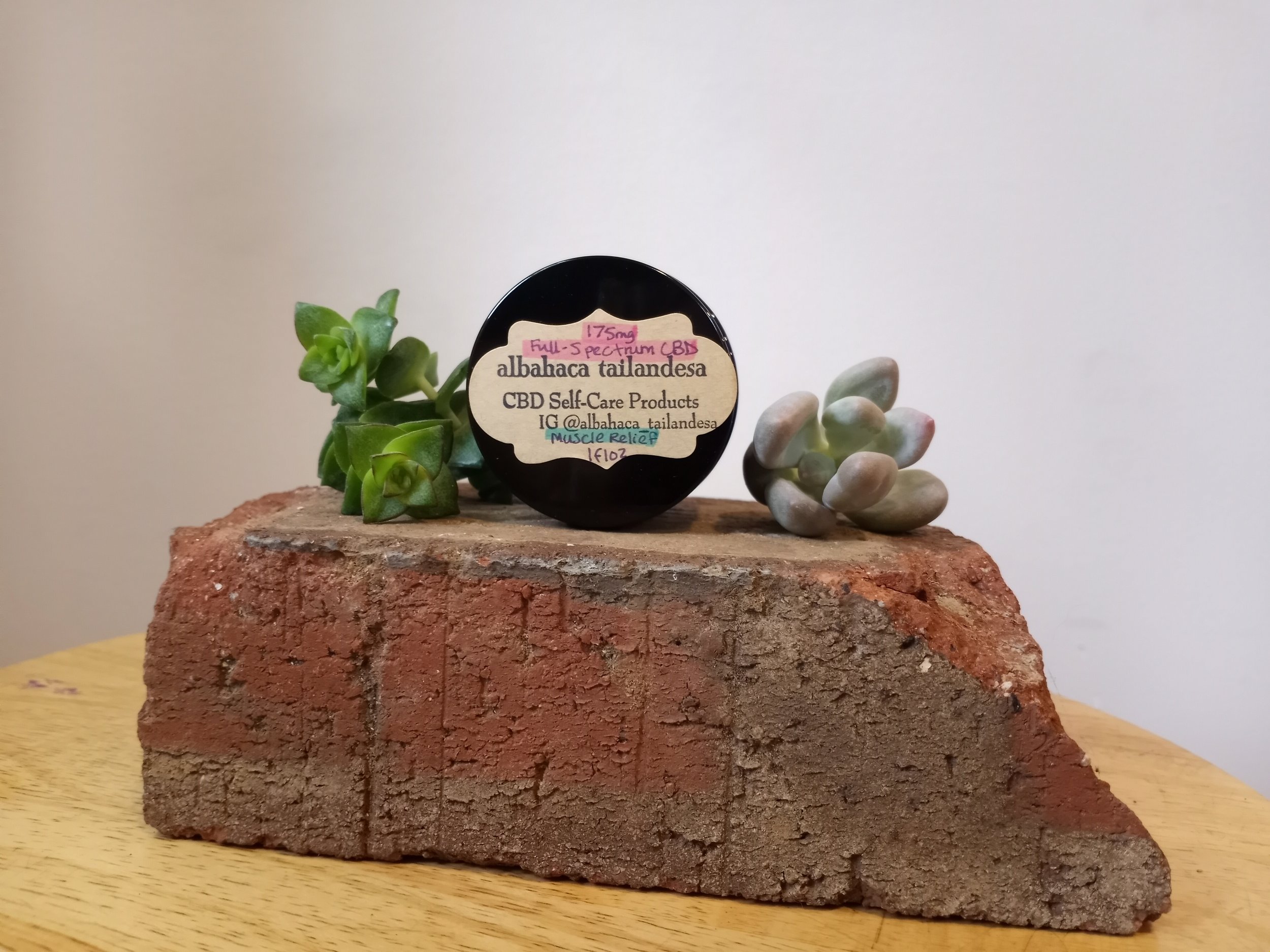 CBD / Arnica Muscle Relief Salve
