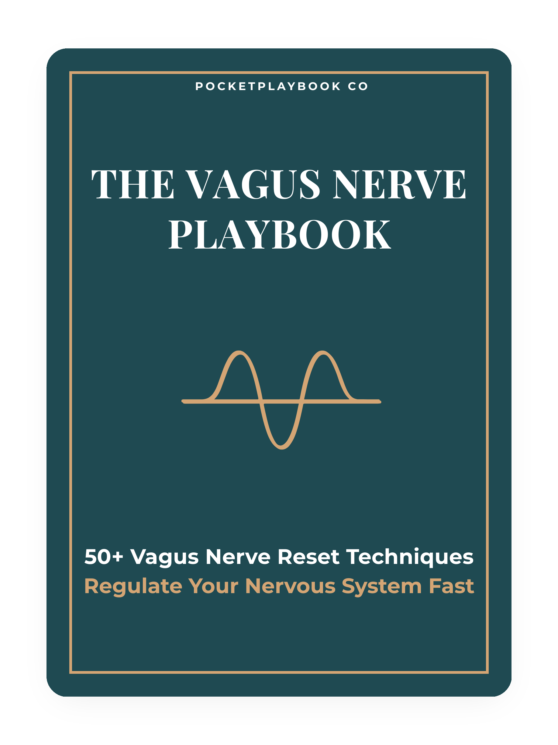Vagus Nerve Playbook