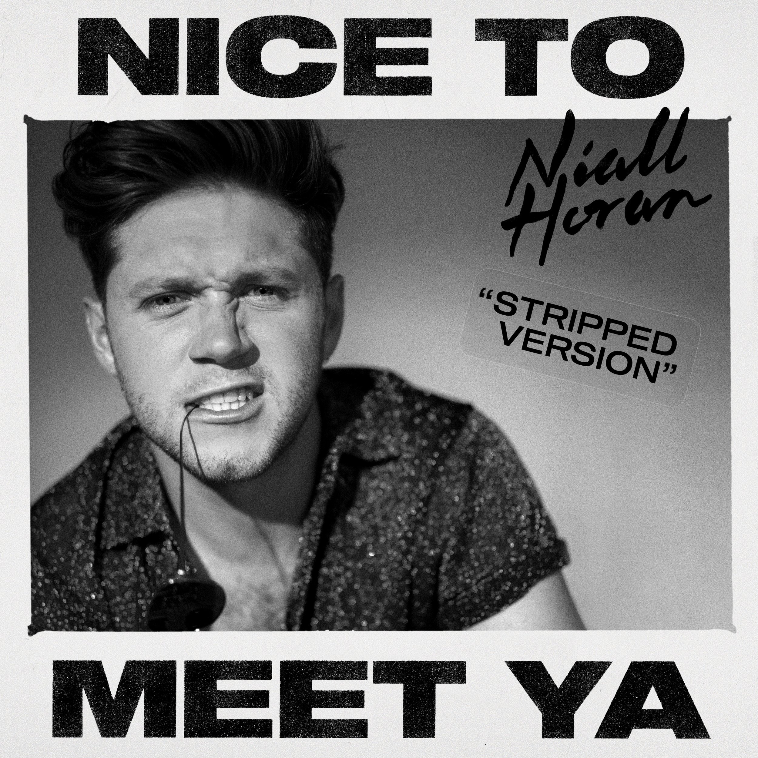Niall Horan - Nice To Meet Ya "Stripped Version" - Mixing