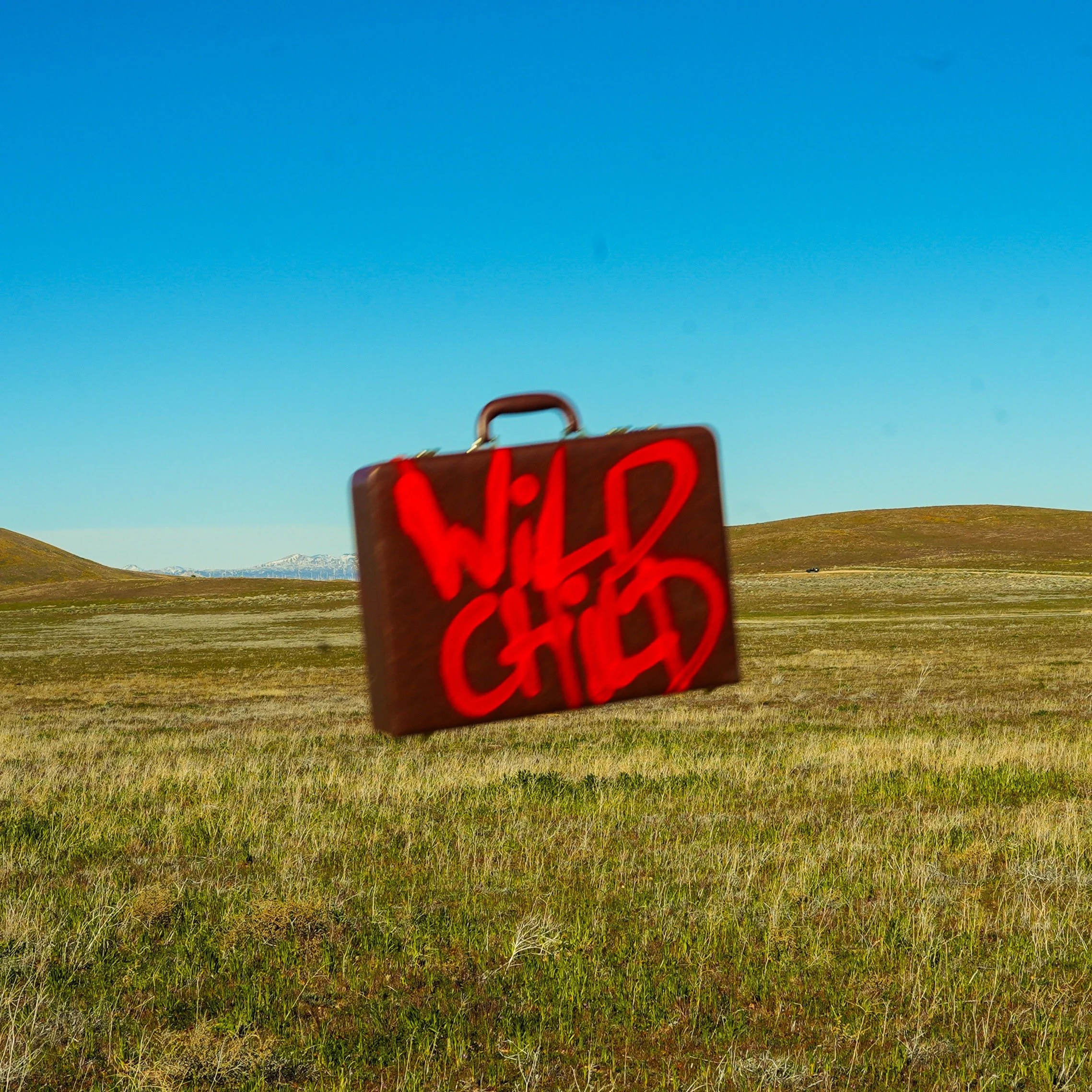 Goodluck Rylie - Wild Child - Mixing