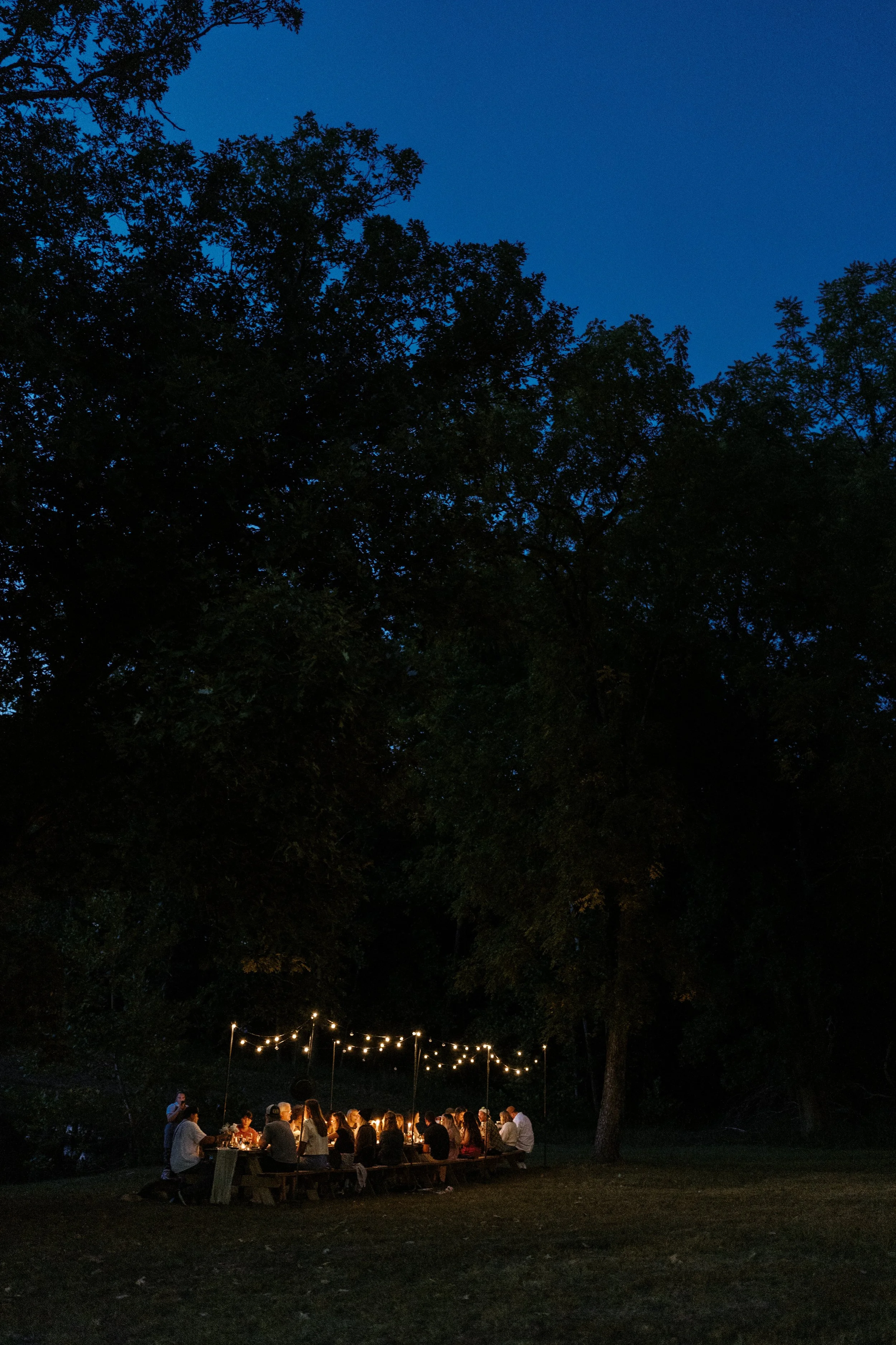 People gathered outdoors at night for a celebration with string lights hanging above, large trees surrounding the area, and a dark sky overhead.
