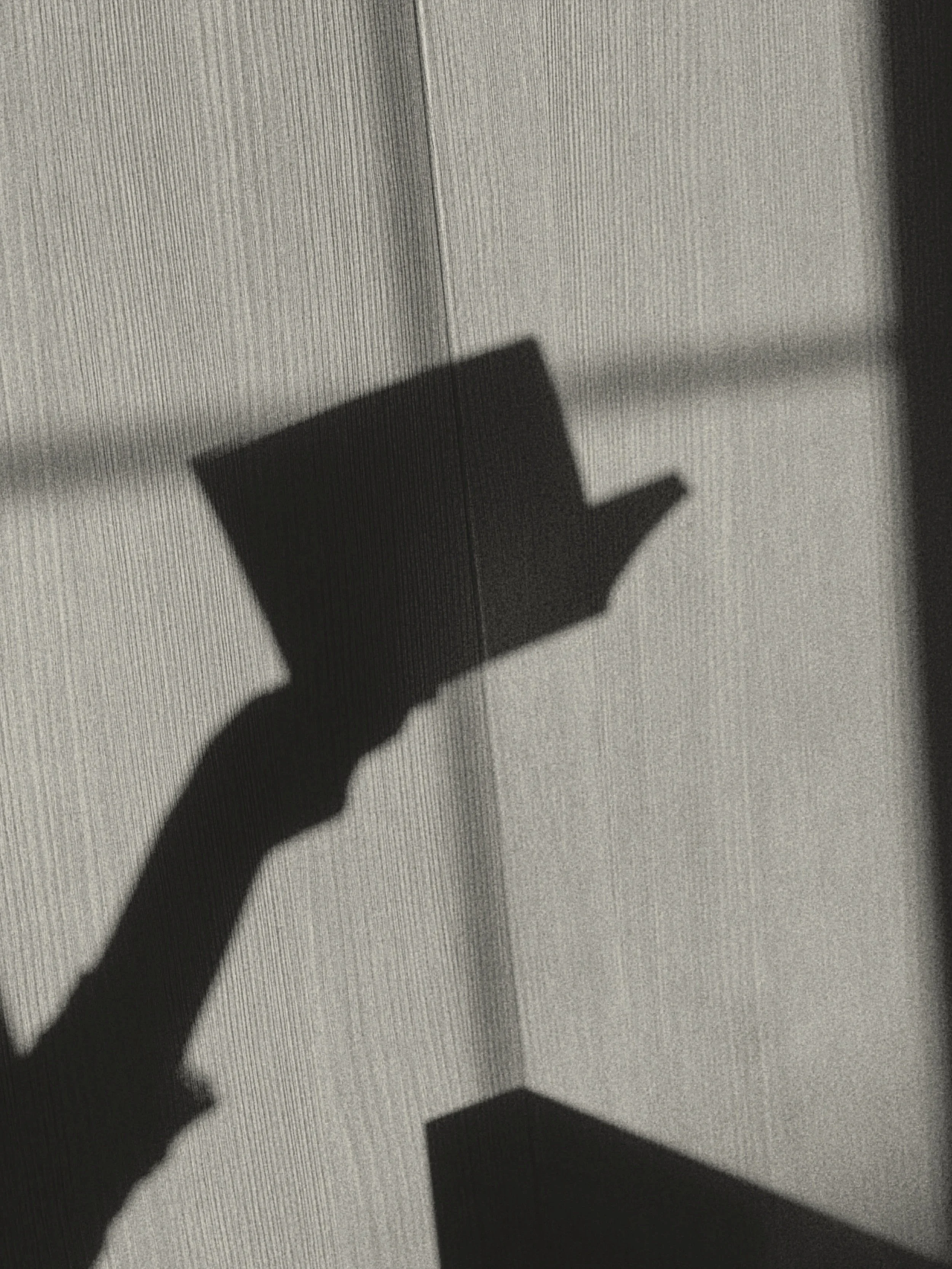 Shadow of a person holding a book on a textured wall.