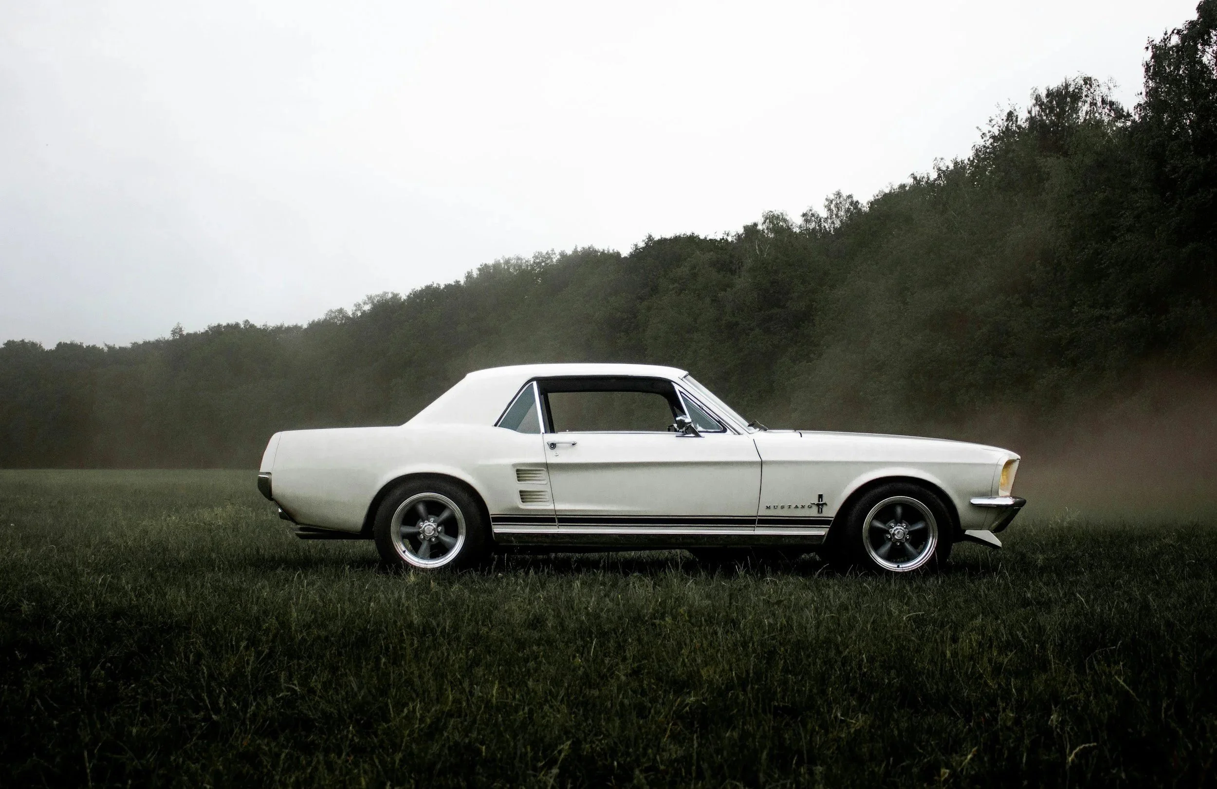 A classic white Ford Mustang car with black racing stripes parked on a grassy field, with a background of dense trees and a cloudy sky.