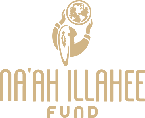 Logo of the Noah LLAHEC Fund featuring a stylized figure holding a globe with a map of the world.