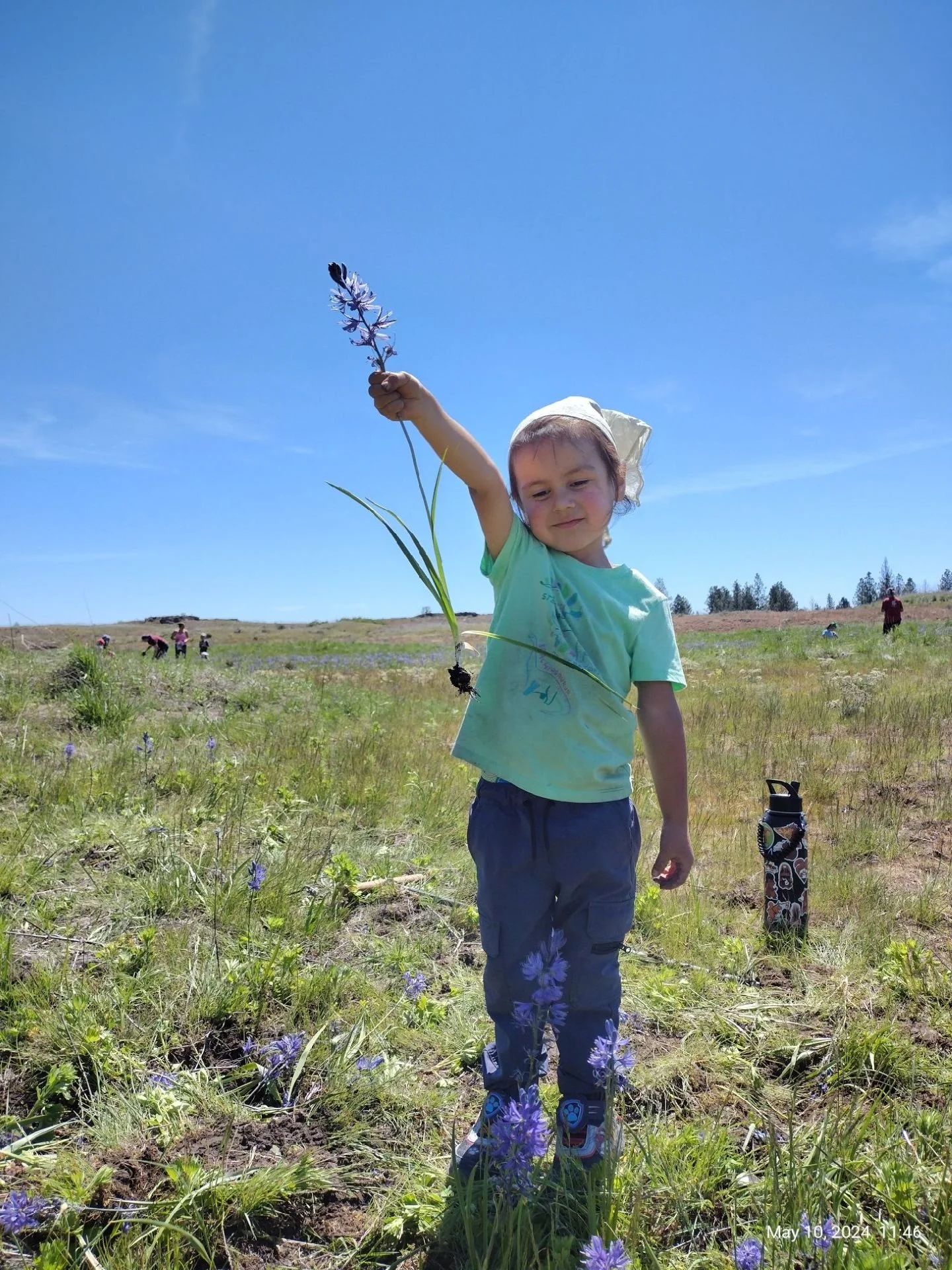 Child Showing off camas root on gathering trip with Salish School, grantee