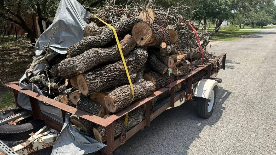 Trailer loaded with large cut logs and branches, secured with straps, parked on a paved road.