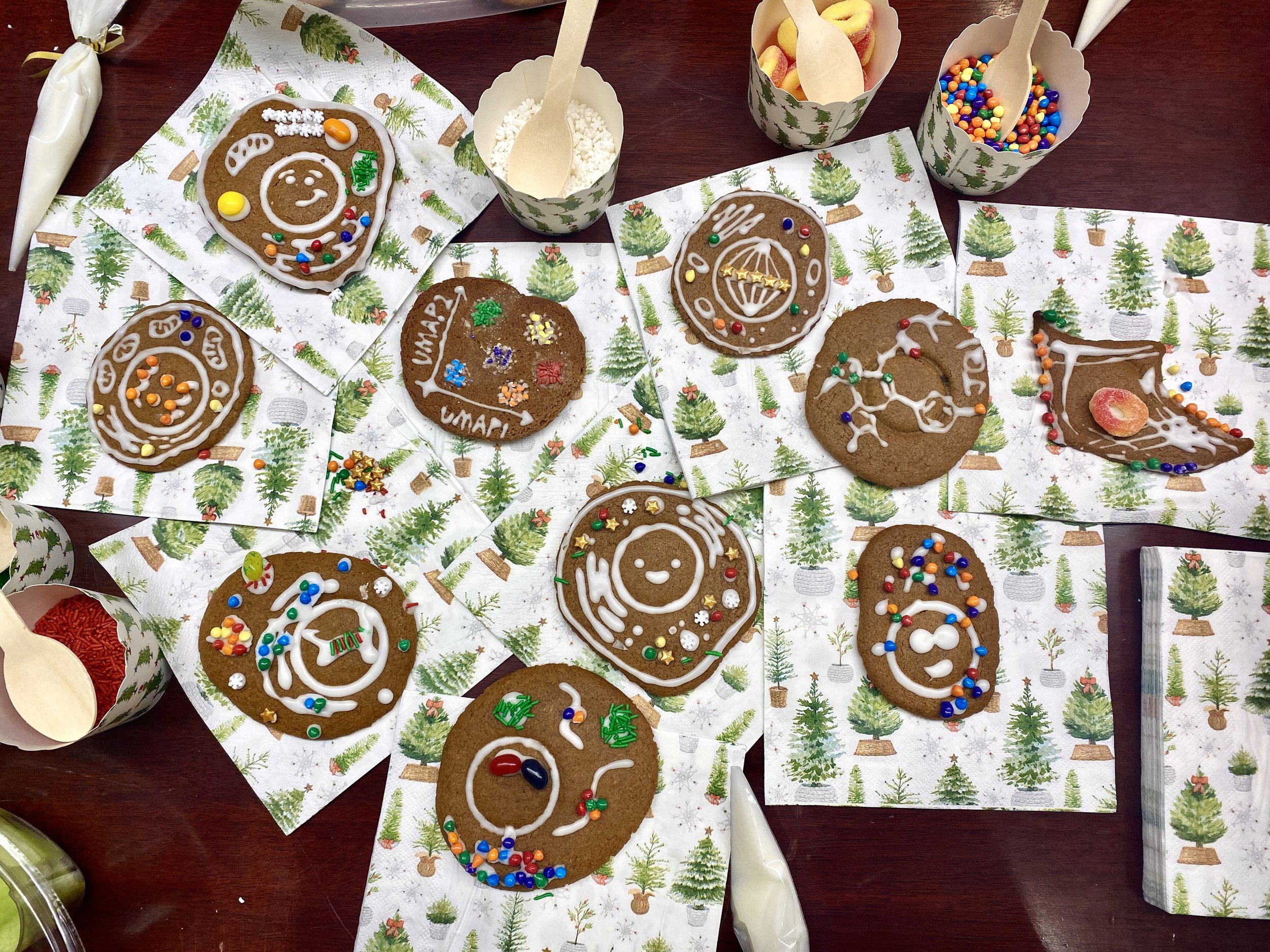 Holiday party 2022 - Gingerbread cells (ft. one chemical structure and one UMAP) 