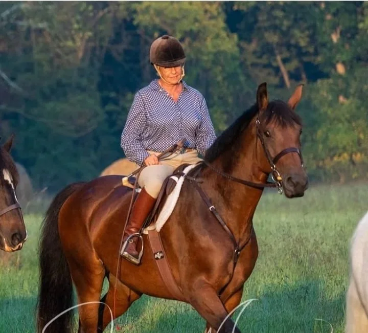Equine