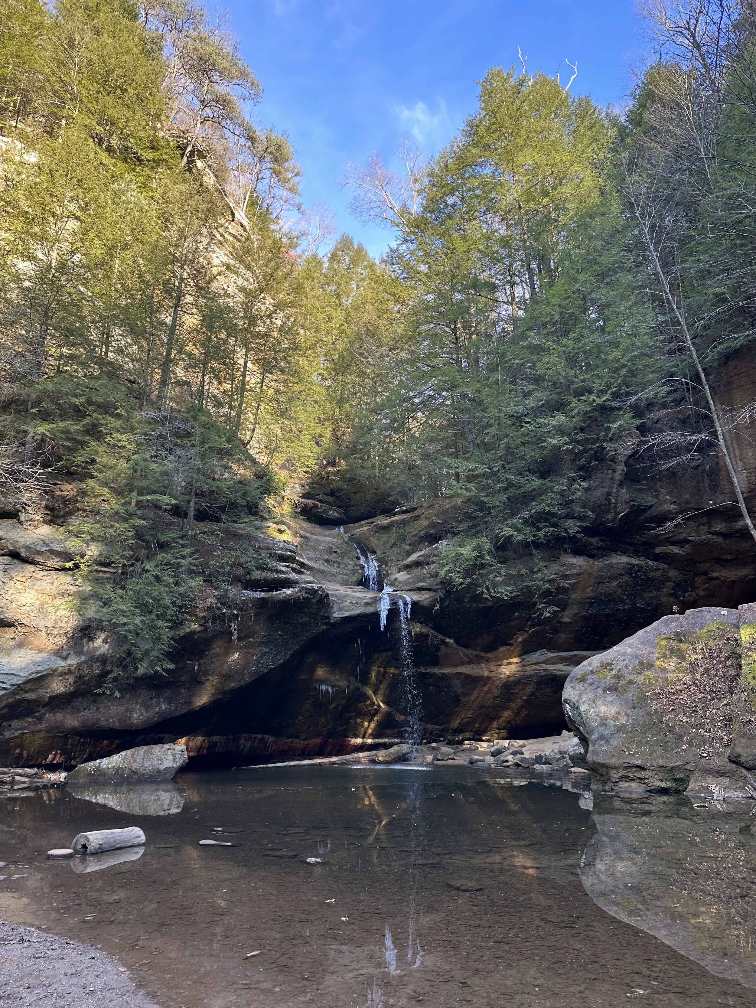 A small waterfall flowing into a pool of water surrounded by rocks and dense trees in a forest.
