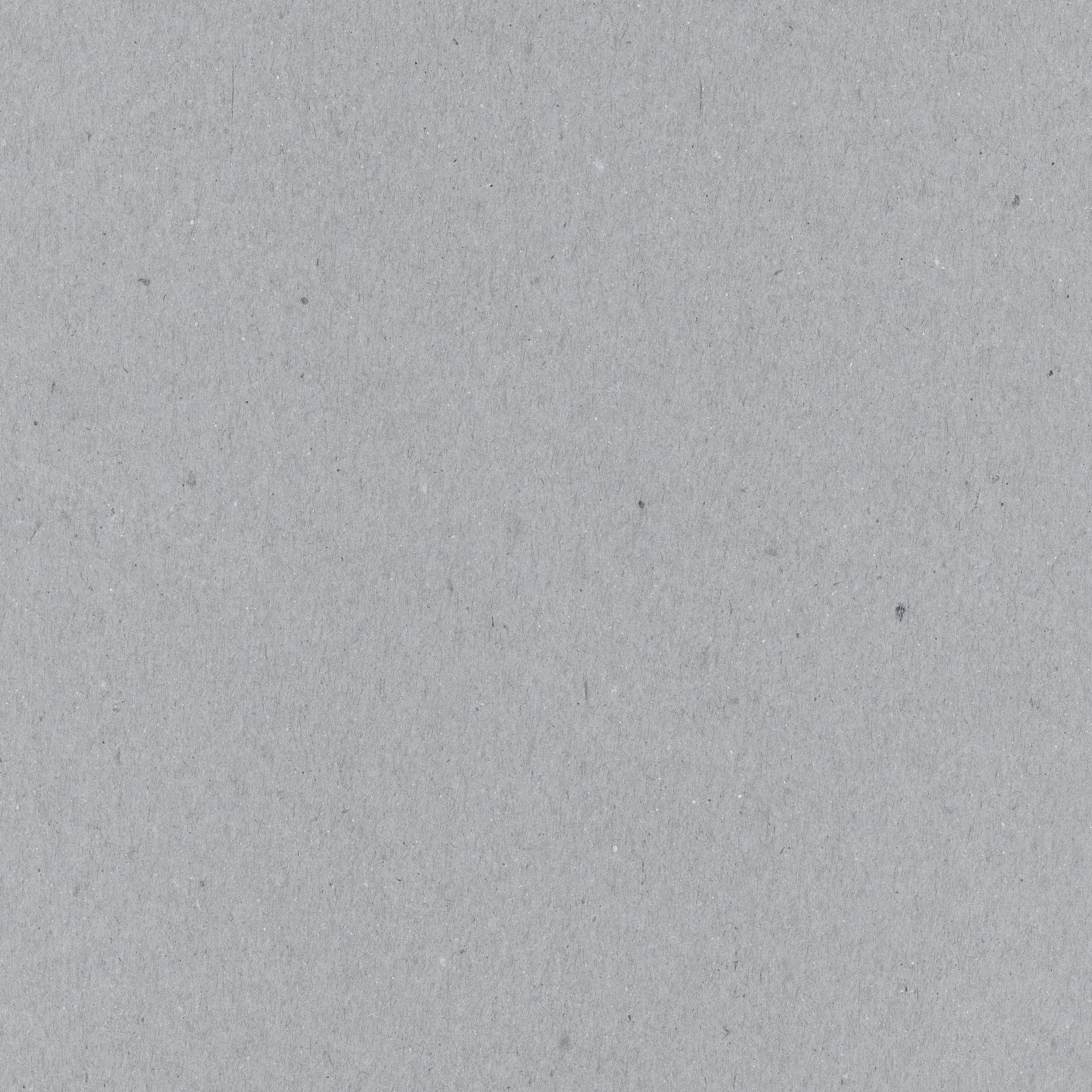 ps_janet-kemp_171824_digital-day-gray-solid-paper_pu.jpg