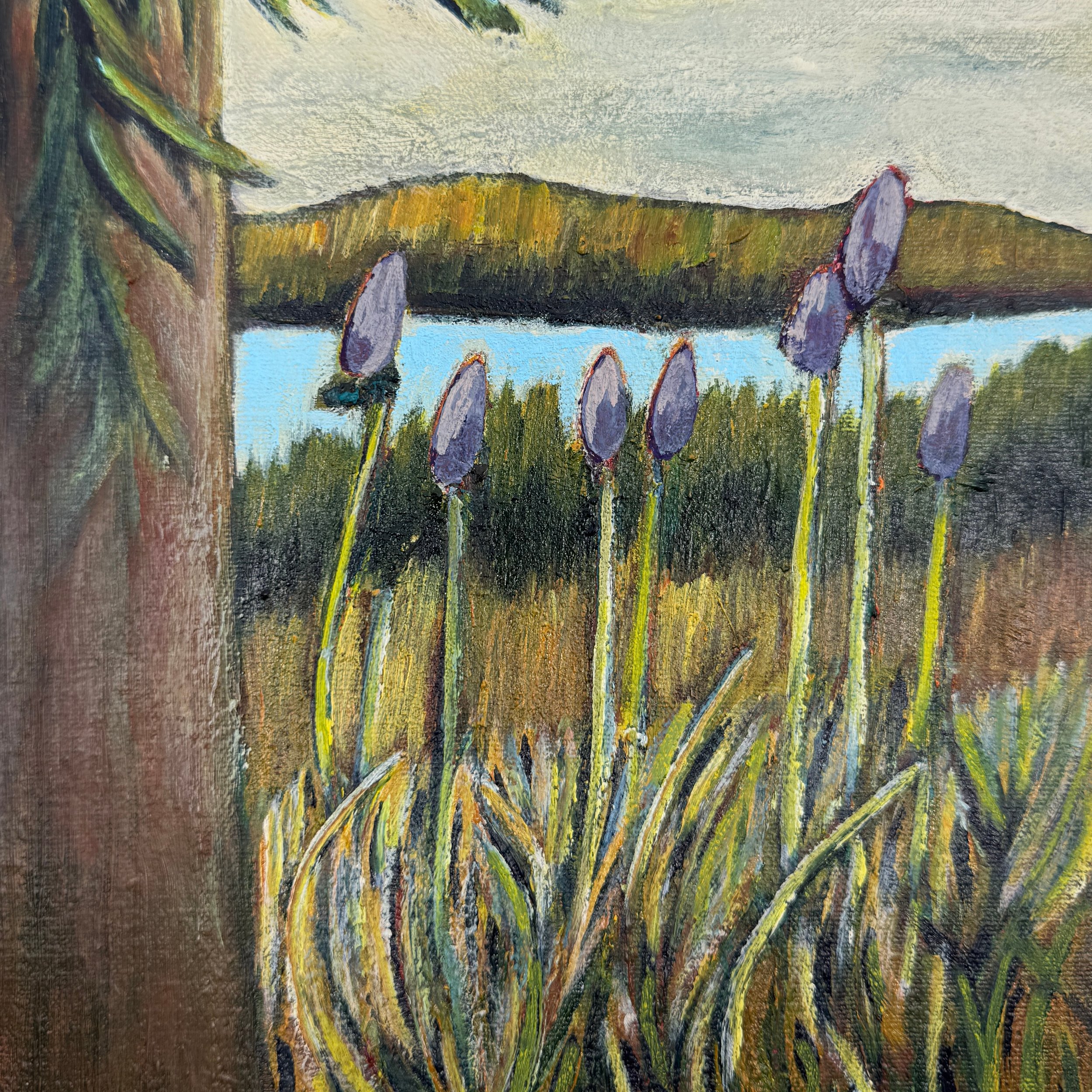 JANE DUNFIELD