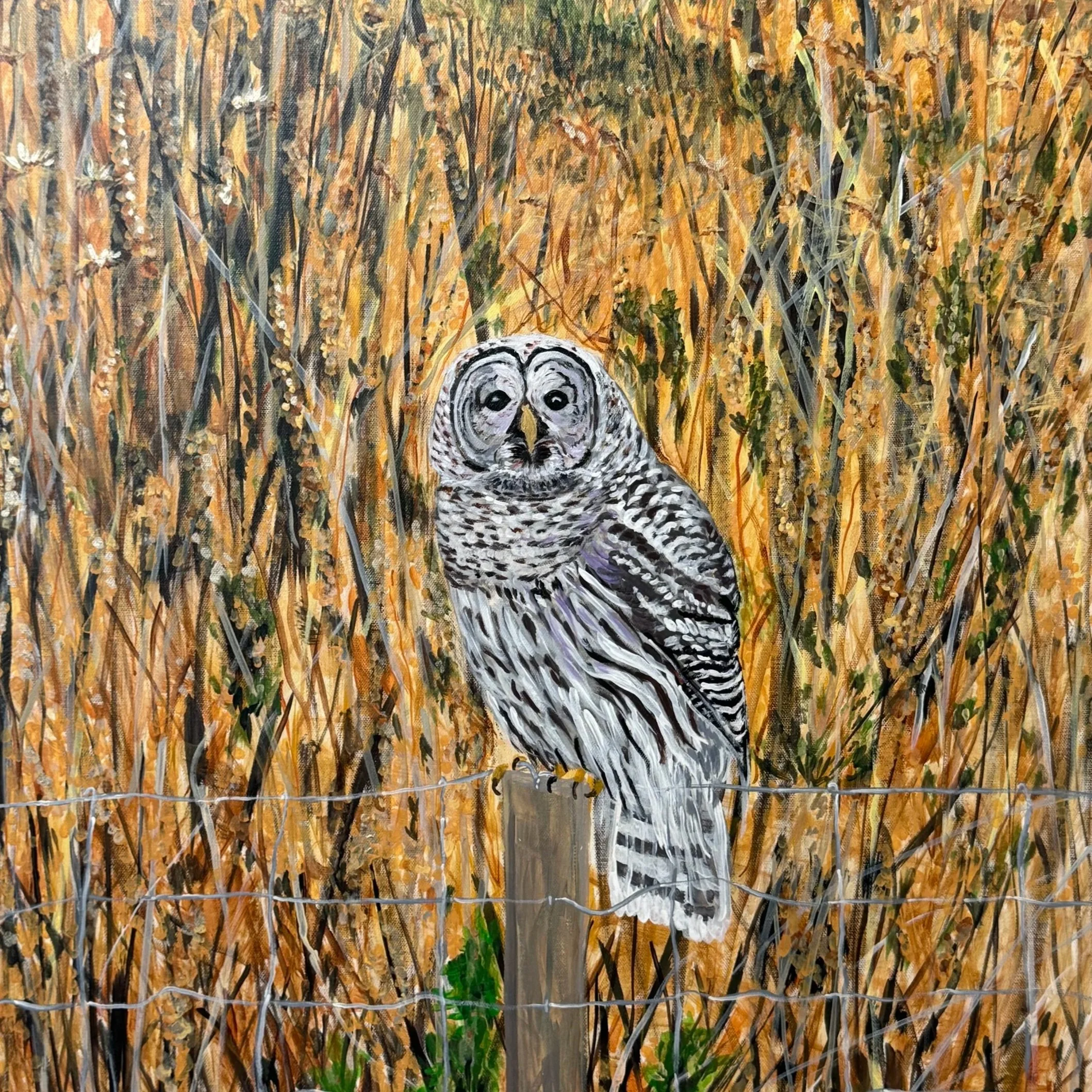JENNIFER GRISDALE