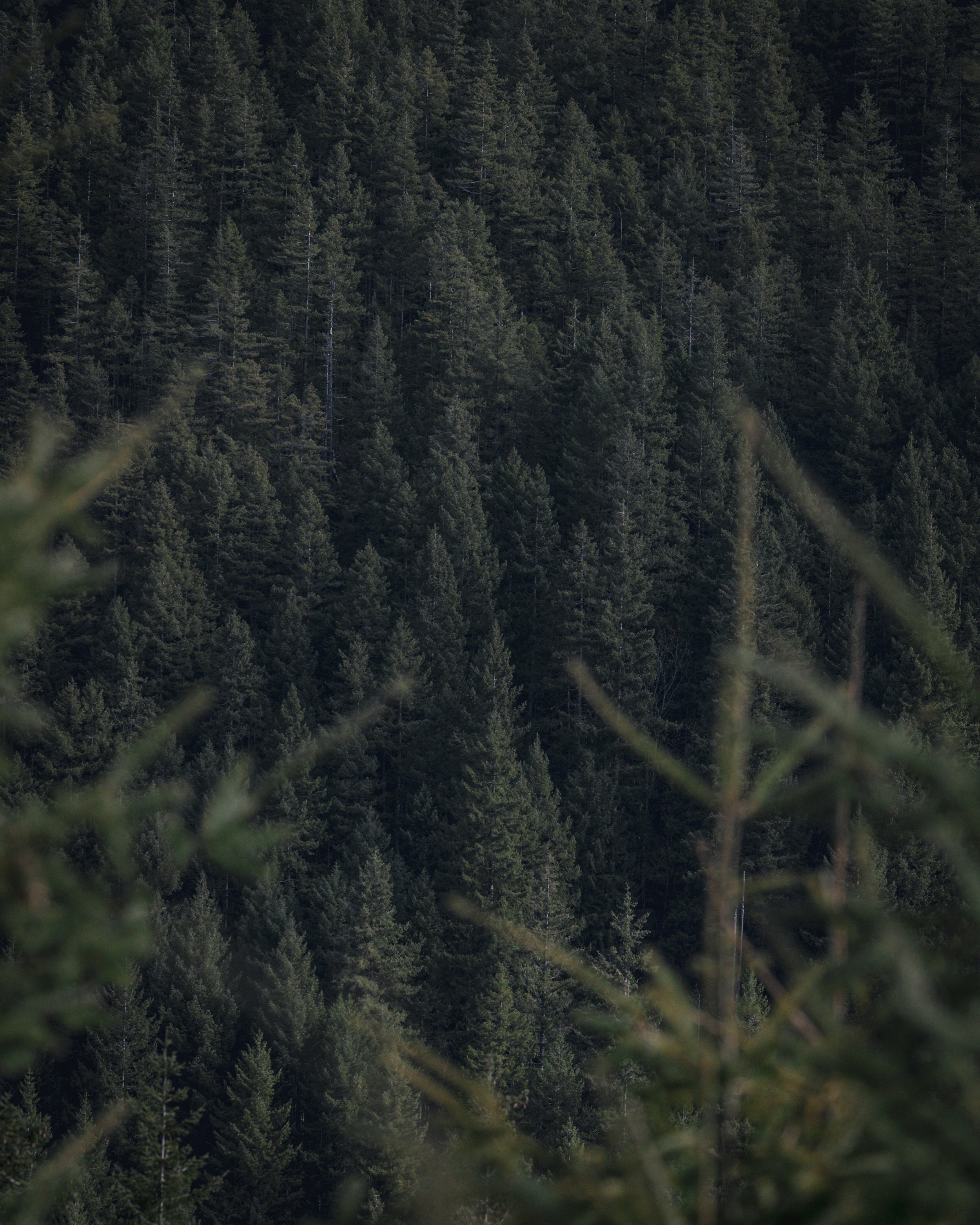 renee-nicole-TSMLwEPWitY-unsplash.jpg