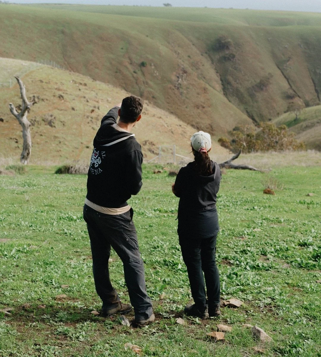 two people overlook a field