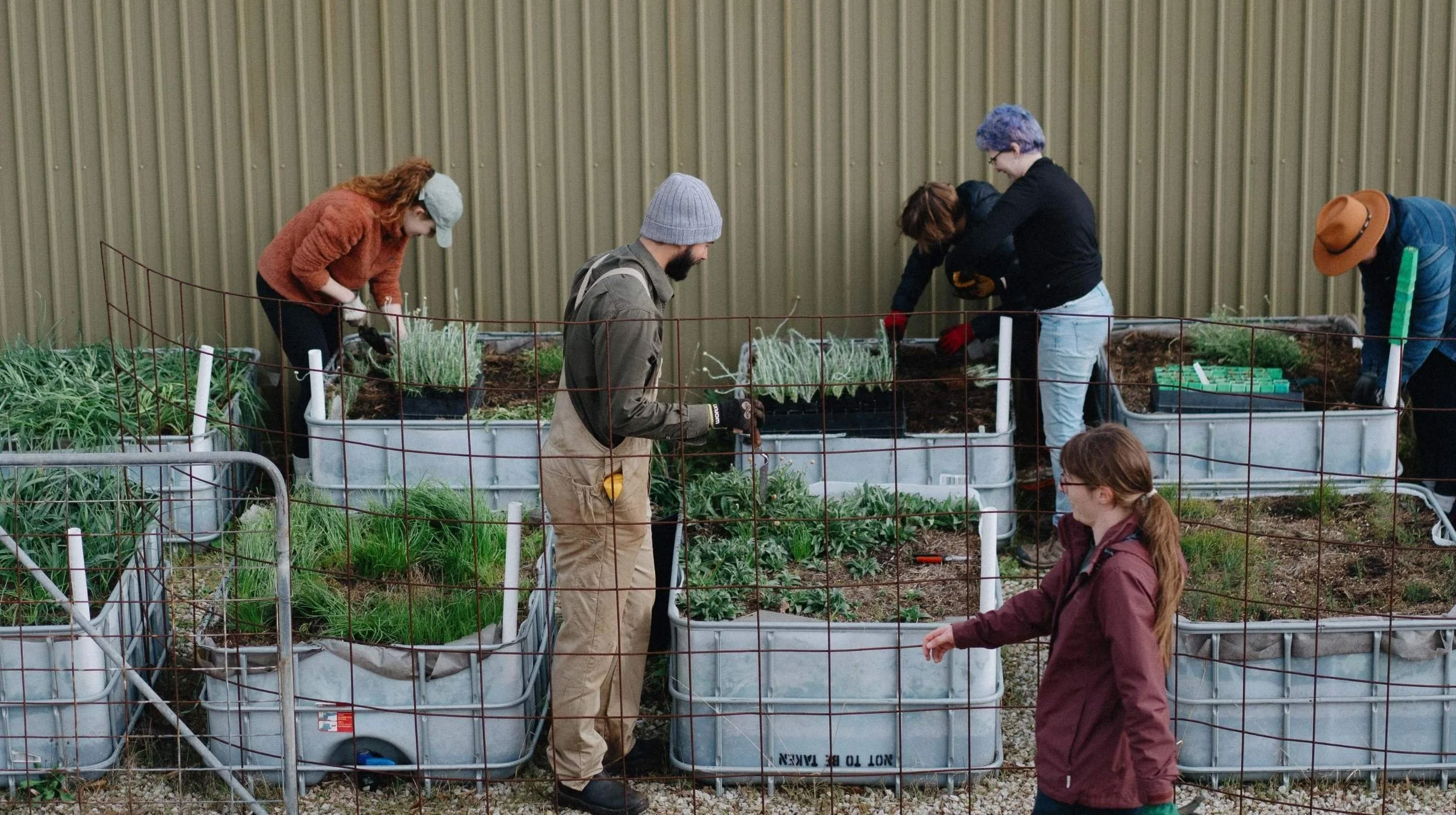 a group of people work on a communal garden