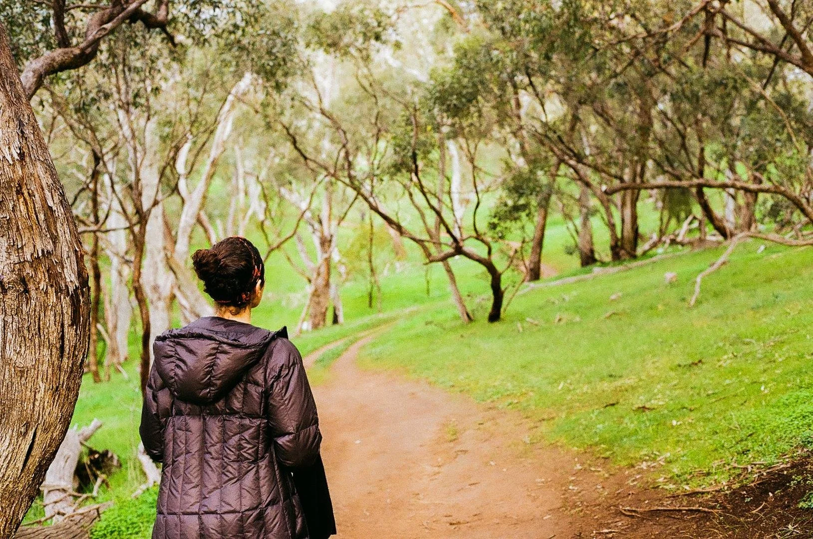 Shared Trails: Community Hike