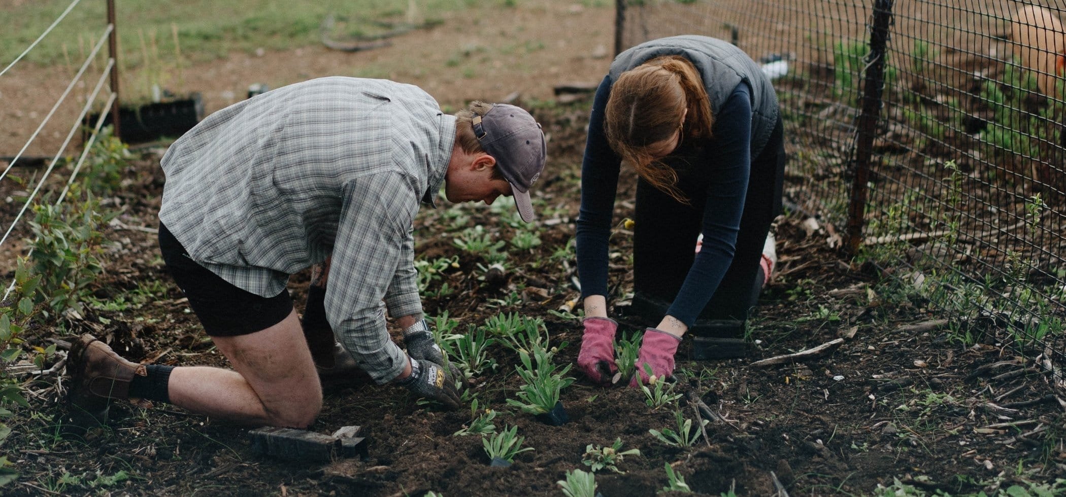 2026 Myponga Planting Festival