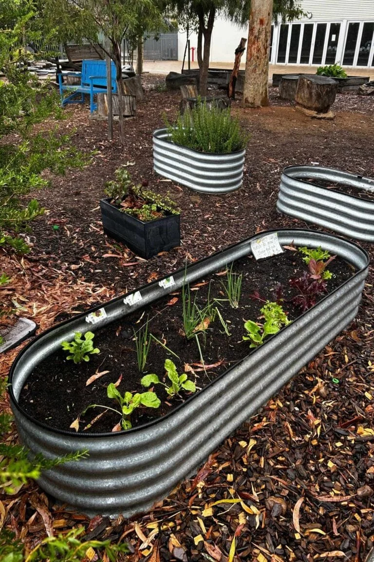 Eco Leaders – Danielle Carr