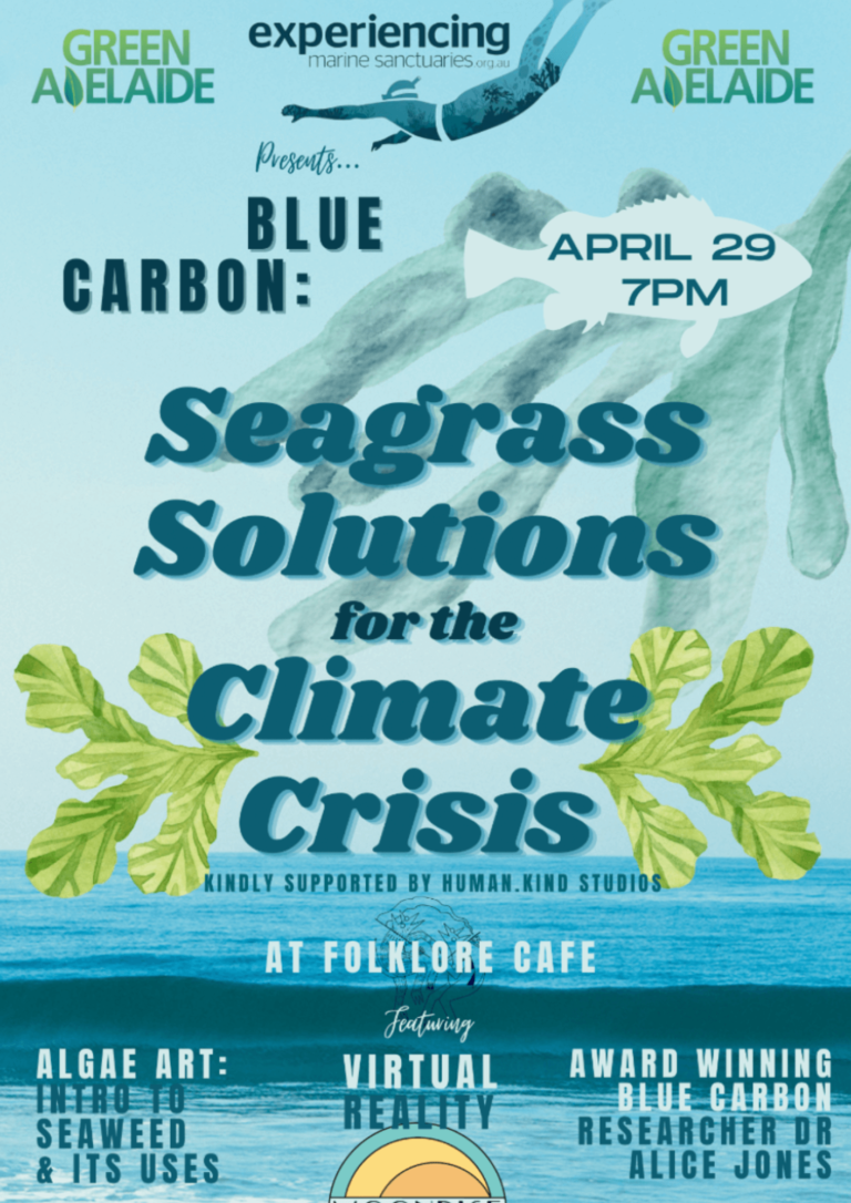 Blue Carbon: Seagrass Solutions for Climate Change