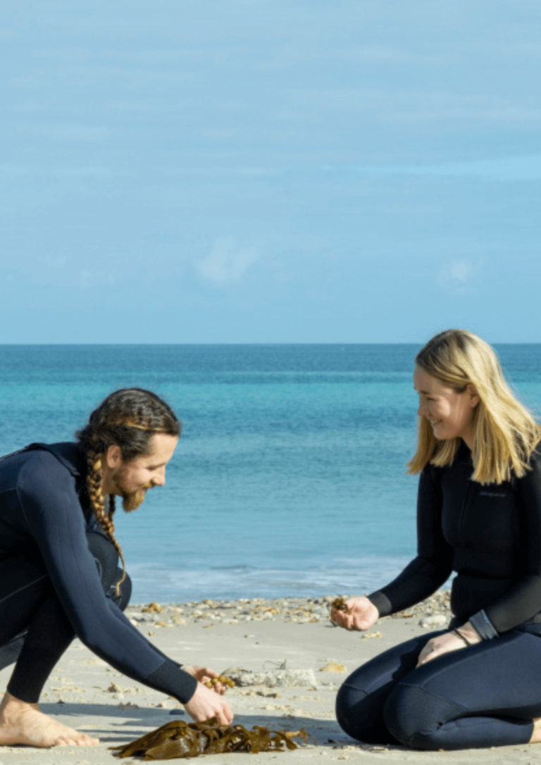 Brad and Chloe Darkson, Moonrise Seaweed Co