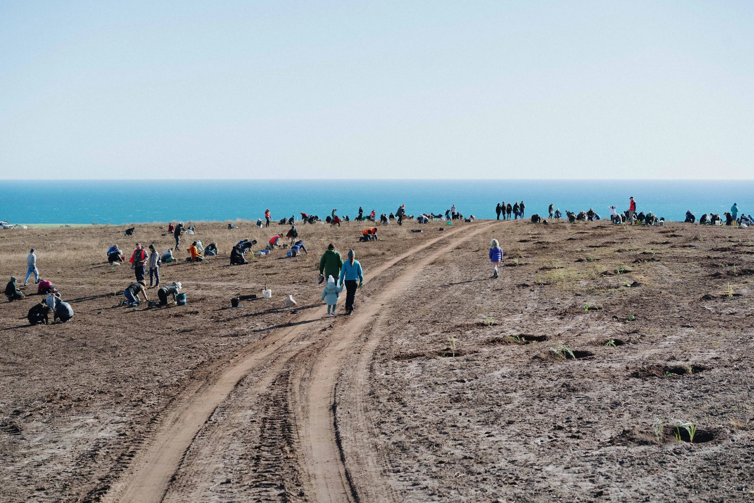 Myponga Community Connection: Local is our Future